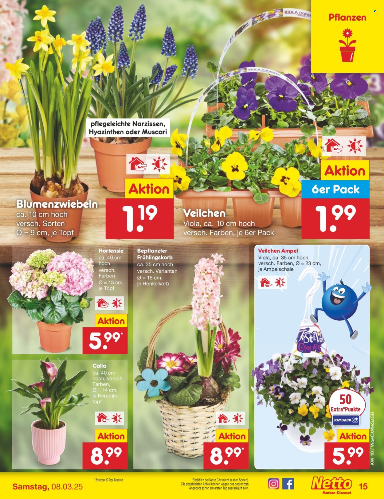 Netto Marken-Discount Prospekte  - 3.03.2025 - 8.03.2025. Seite 21
