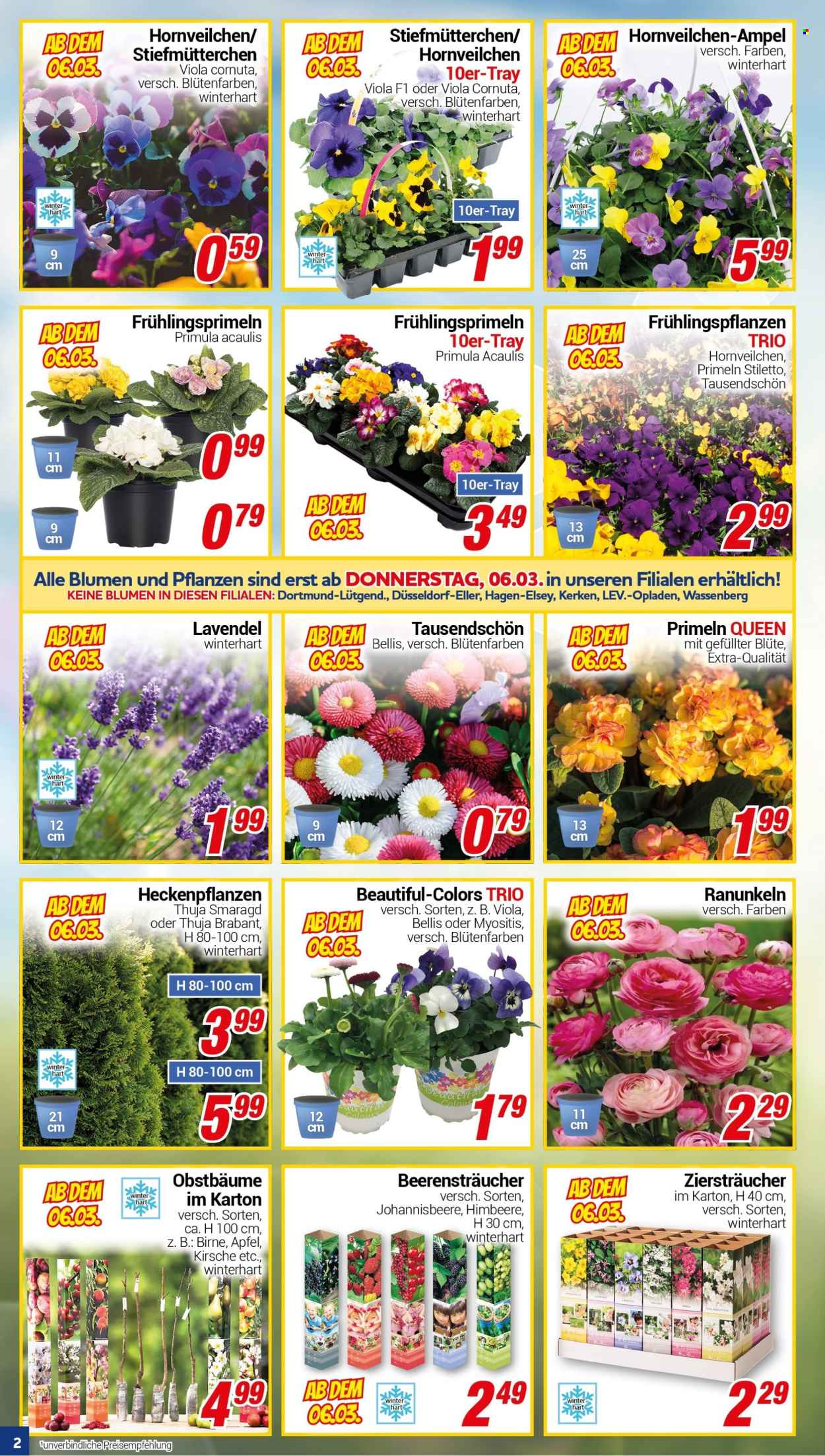 CENTERSHOP Prospekte  - 3.03.2025 - 8.03.2025. Seite 2