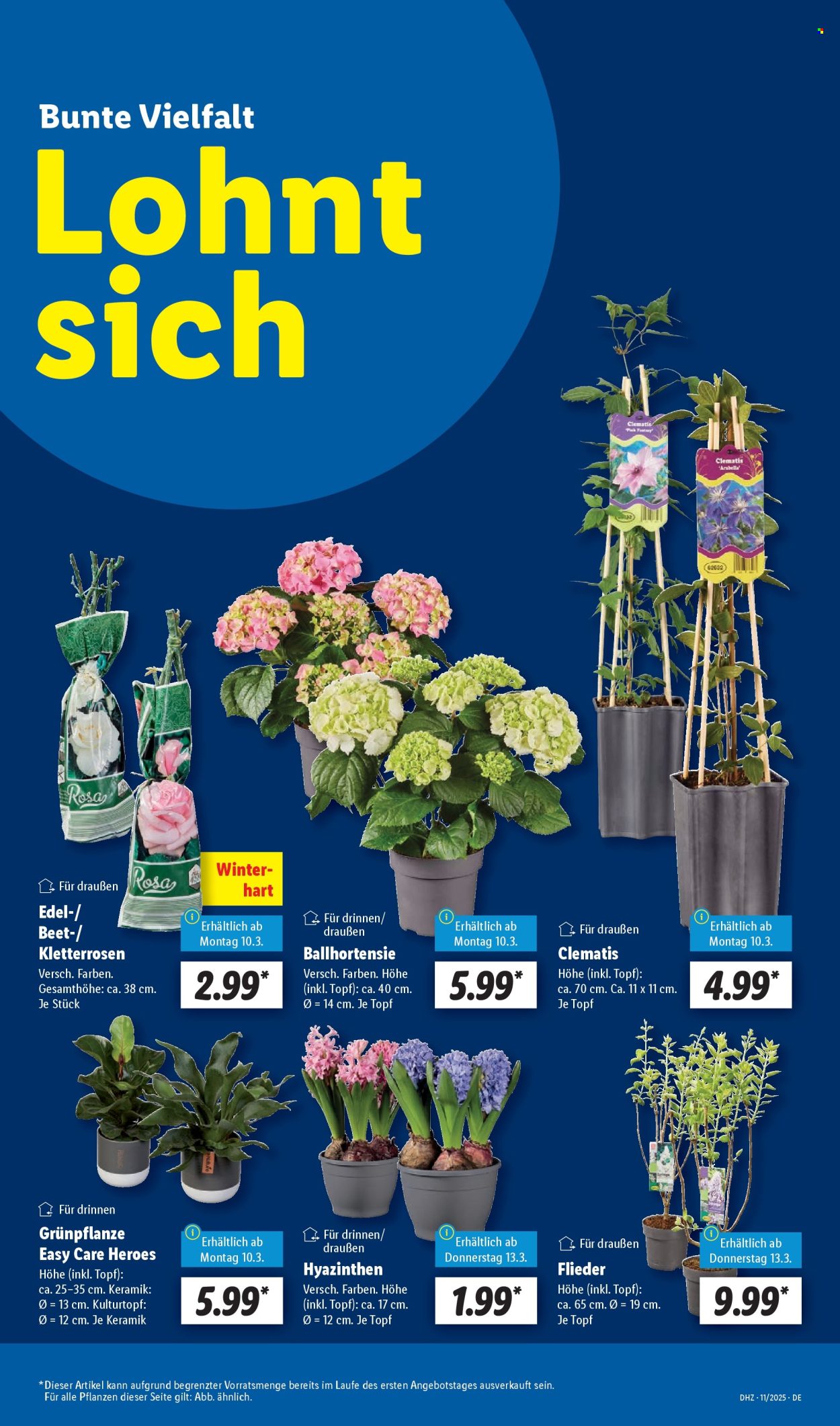 Lidl Prospekte  - 10.03.2025 - 15.03.2025. Seite 11