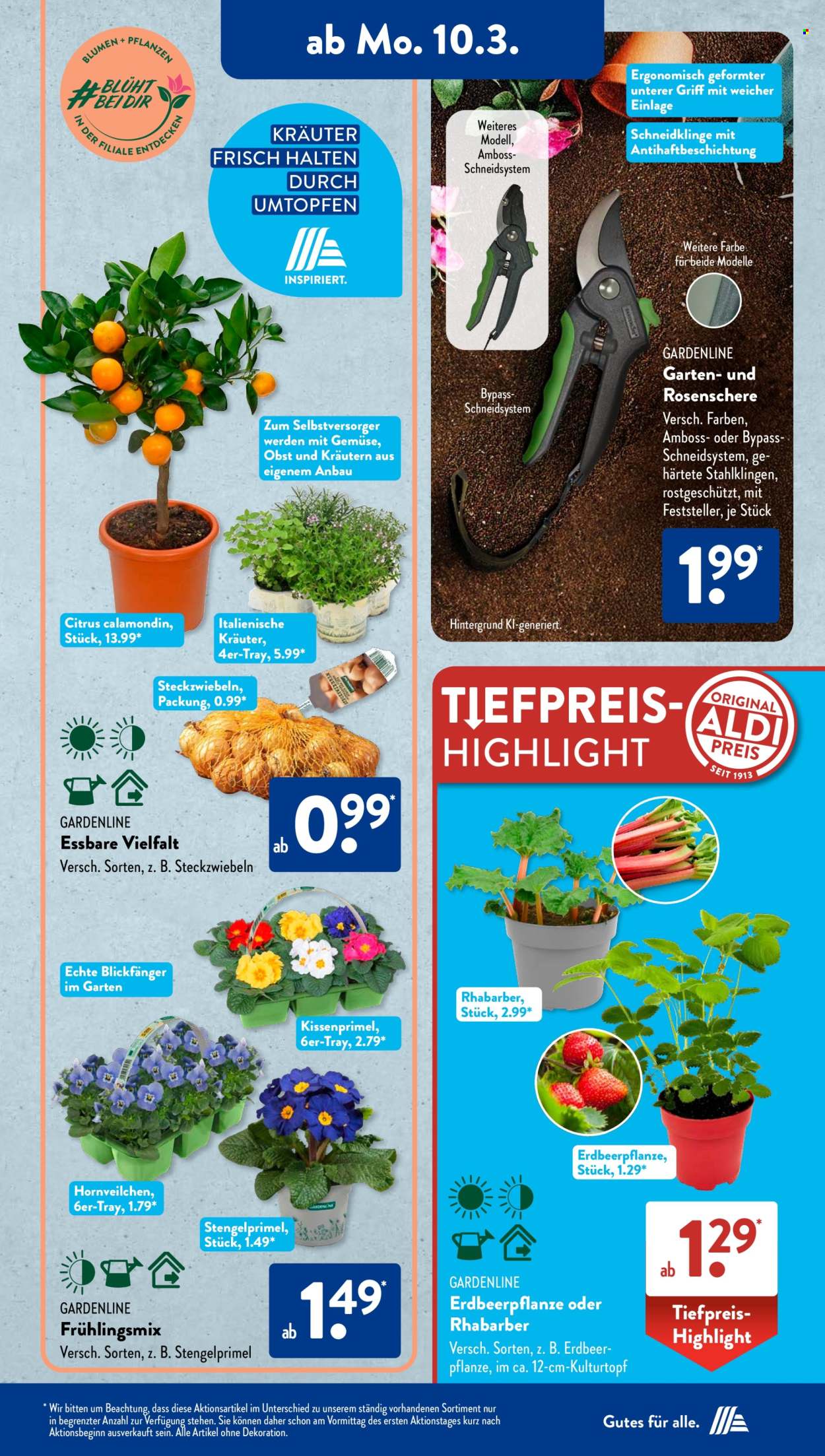 ALDI SÜD Prospekte  - 10.03.2025 - 15.03.2025. Seite 17