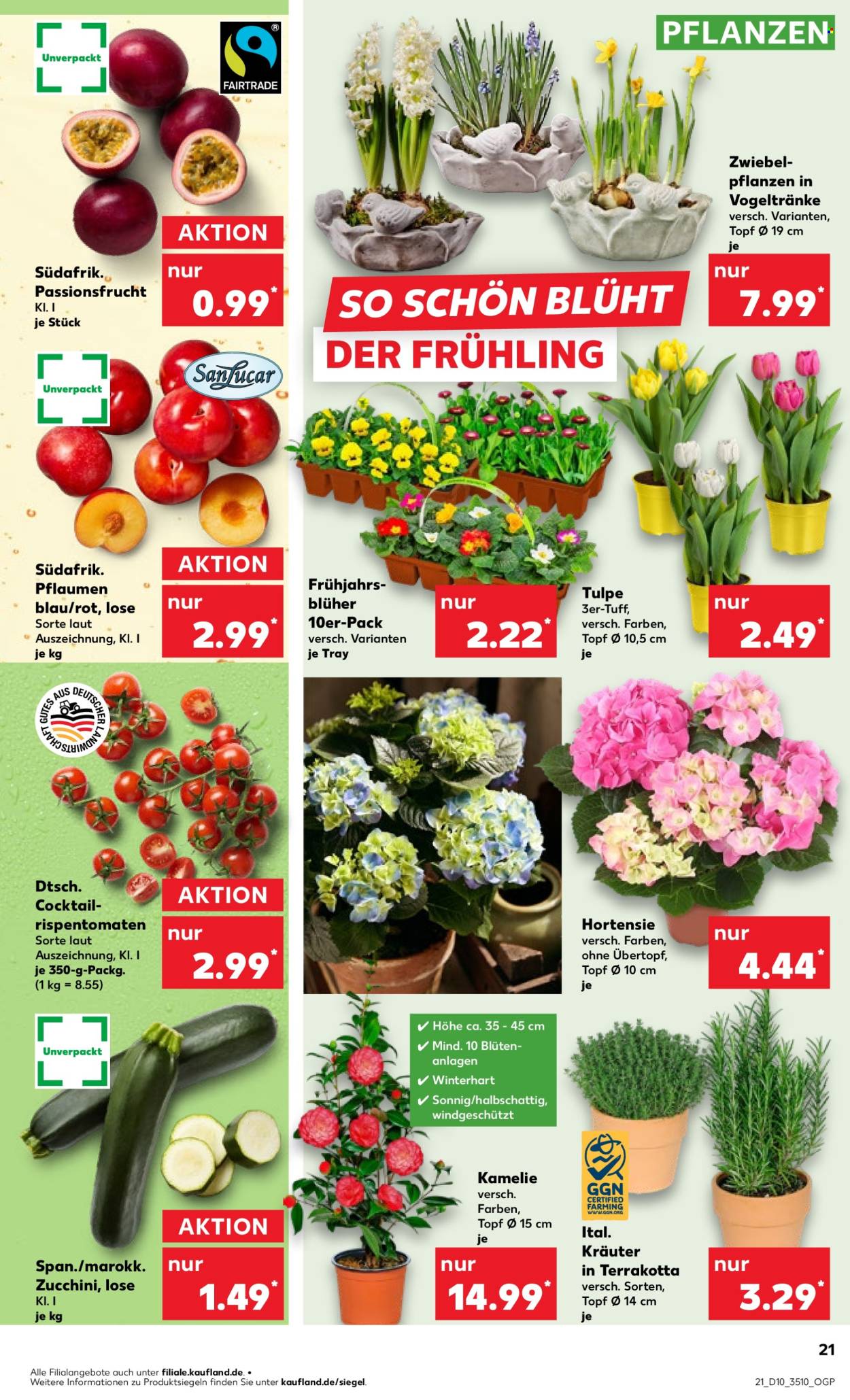 Kaufland Prospekte  - 6.03.2025 - 12.03.2025. Seite 21