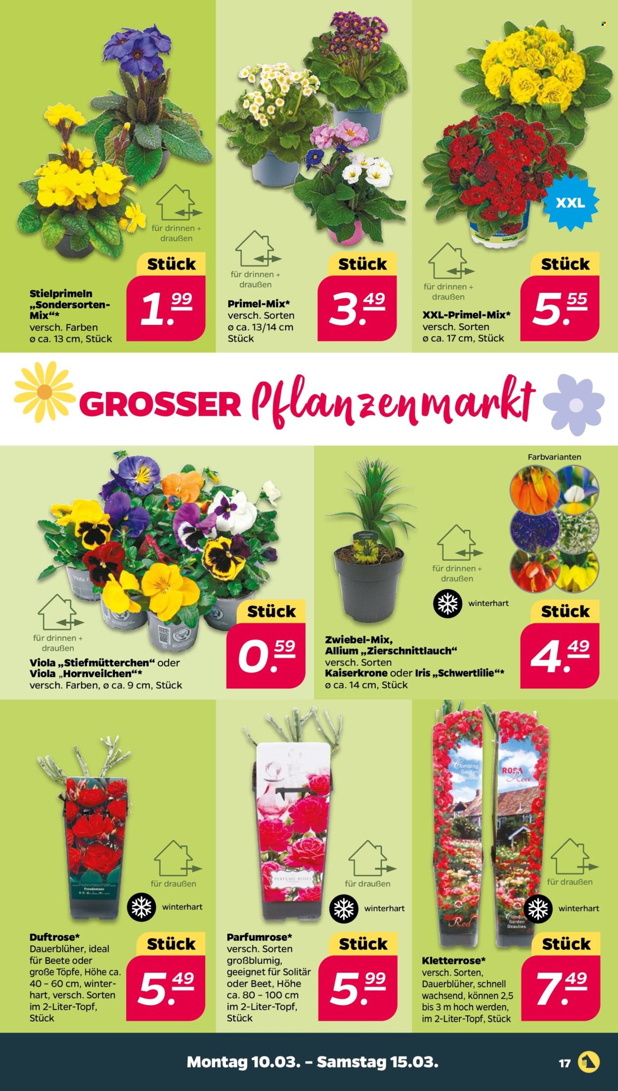 Netto Prospekte  - 10.03.2025 - 15.03.2025. Seite 17