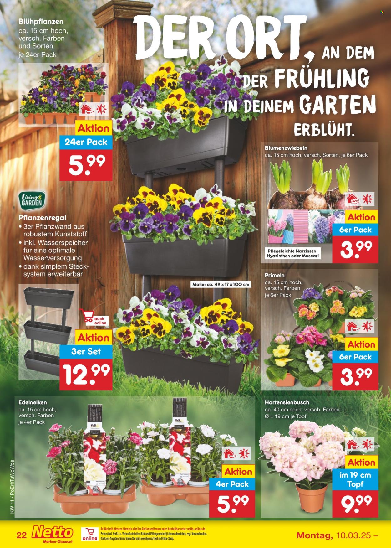 Netto Marken-Discount Prospekte  - 10.03.2025 - 15.03.2025. Seite 34