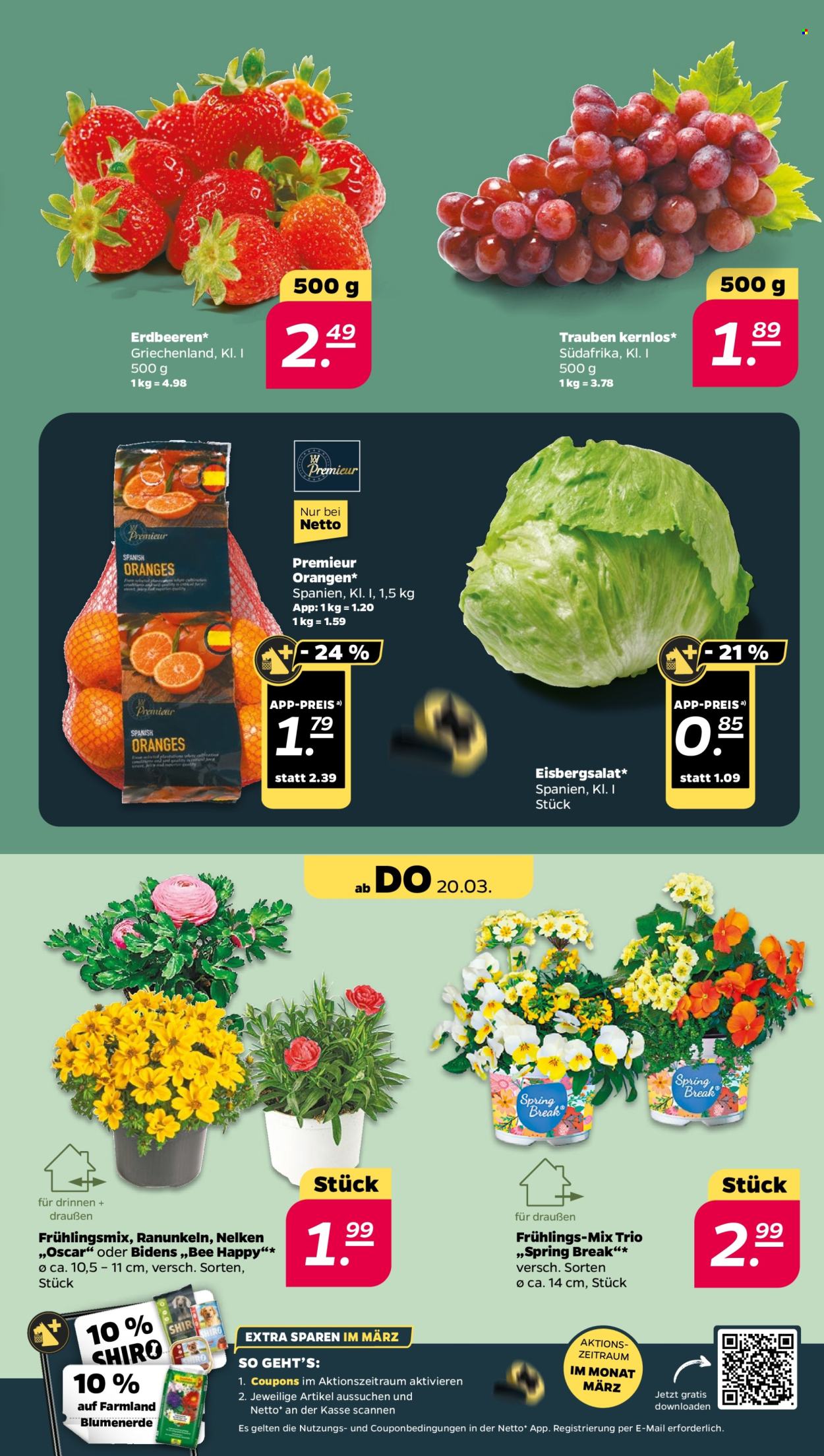 Netto Prospekte  - 17.03.2025 - 22.03.2025. Seite 3