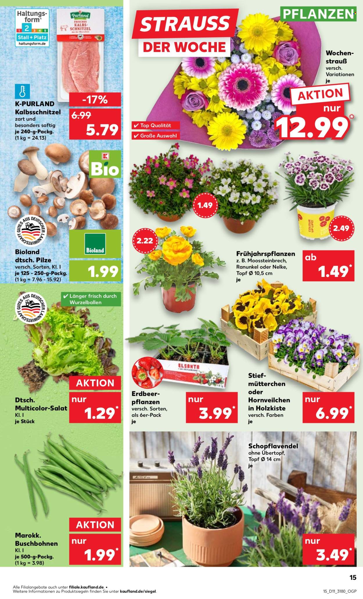 Kaufland Prospekte  - 13.03.2025 - 19.03.2025. Seite 15