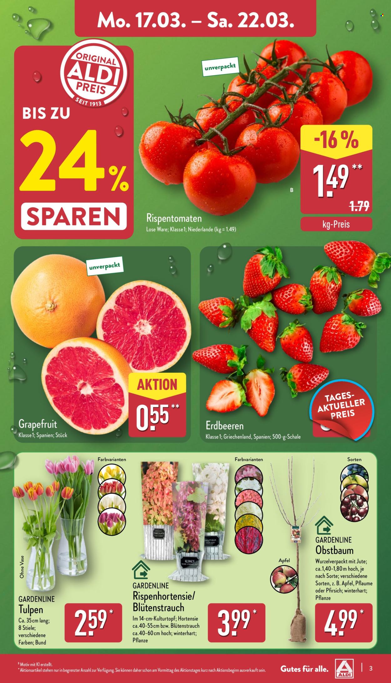 ALDI Nord Prospekte  - 17.03.2025 - 22.03.2025. Seite 3