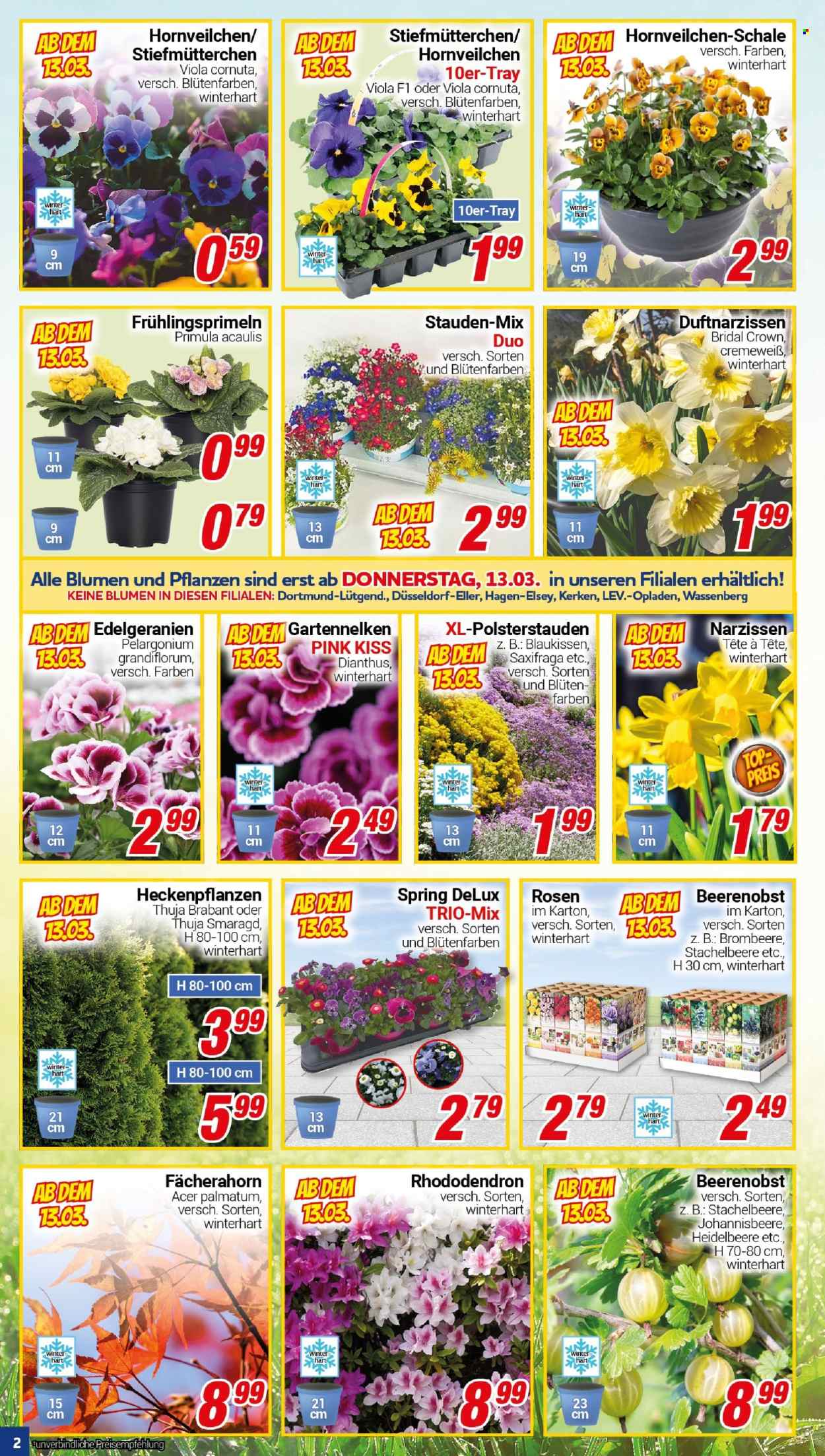 CENTERSHOP Prospekte  - 10.03.2025 - 15.03.2025. Seite 2
