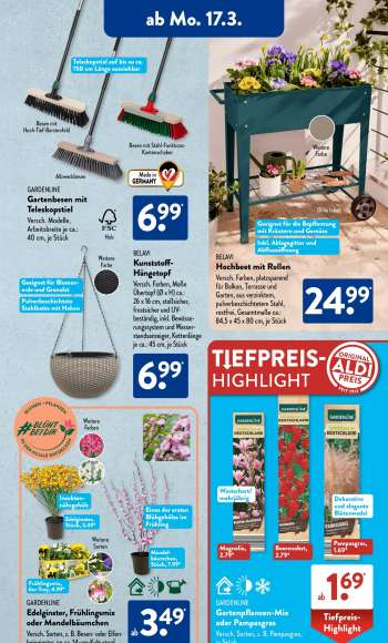 thumbnail - Gartenpflanzen-Mix oder Pampasgras