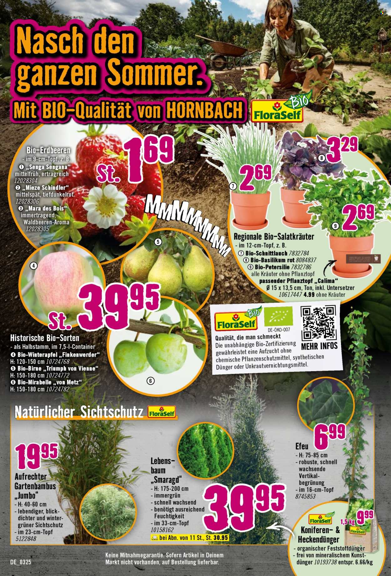 Hornbach Prospekte  - 13.03.2025 - 9.04.2025. Seite 3