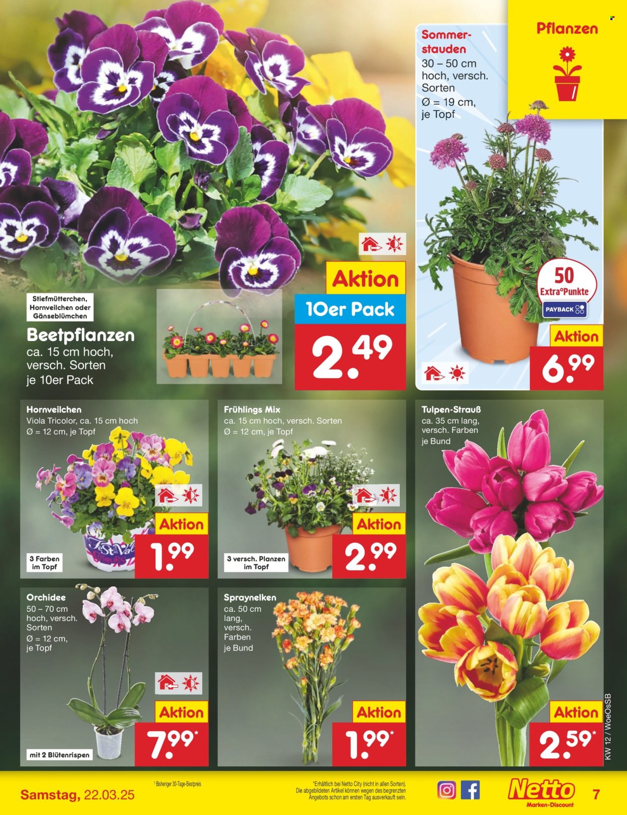 Netto Marken-Discount Prospekte  - 17.03.2025 - 22.03.2025. Seite 9