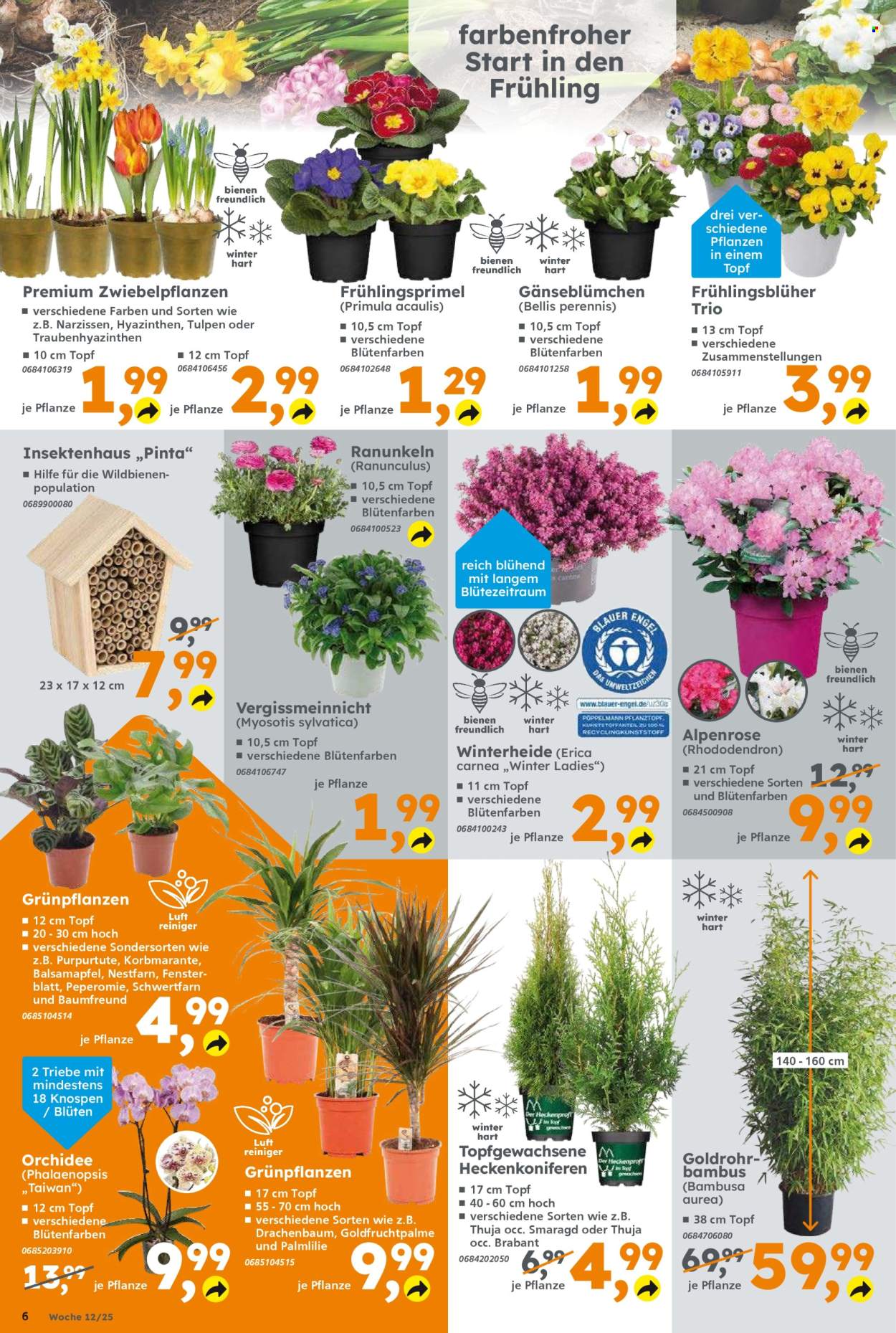 Globus Baumarkt Prospekte  - 17.03.2025 - 22.03.2025. Seite 6