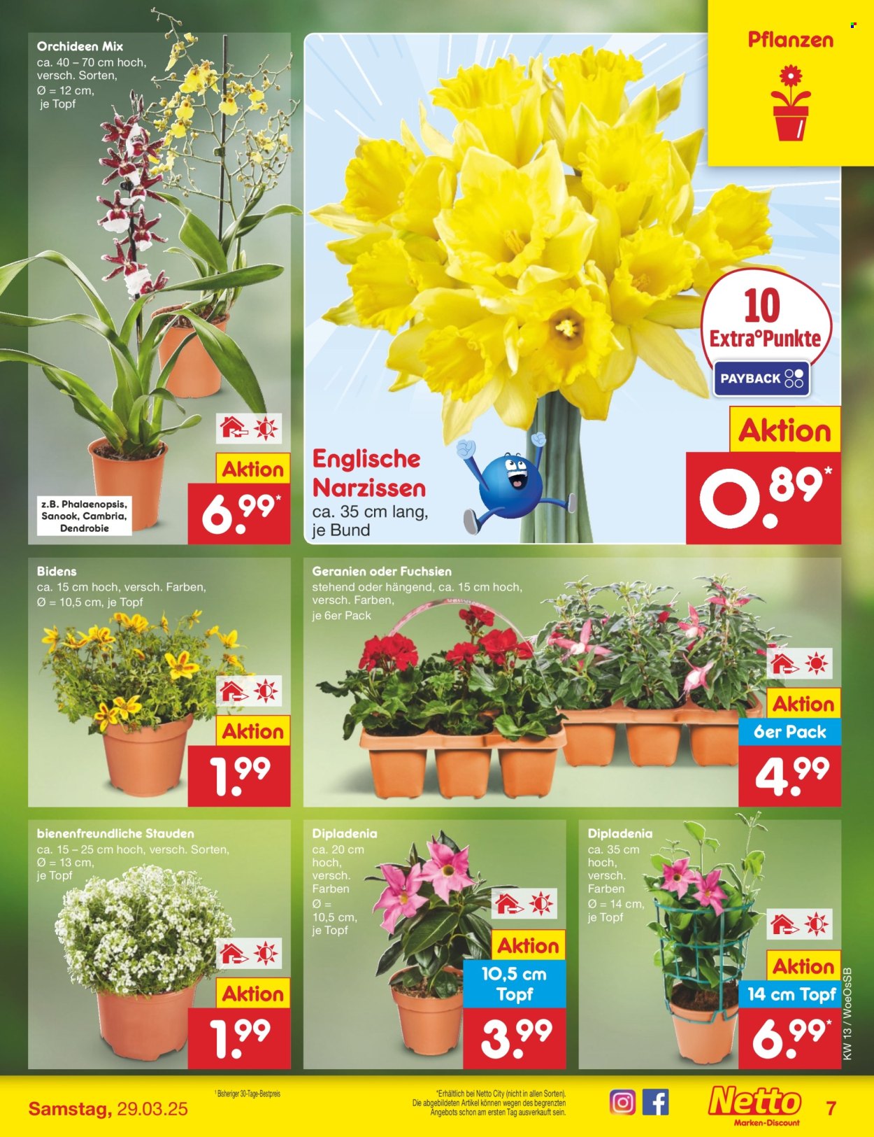 Netto Marken-Discount Prospekte  - 24.03.2025 - 29.03.2025. Seite 7