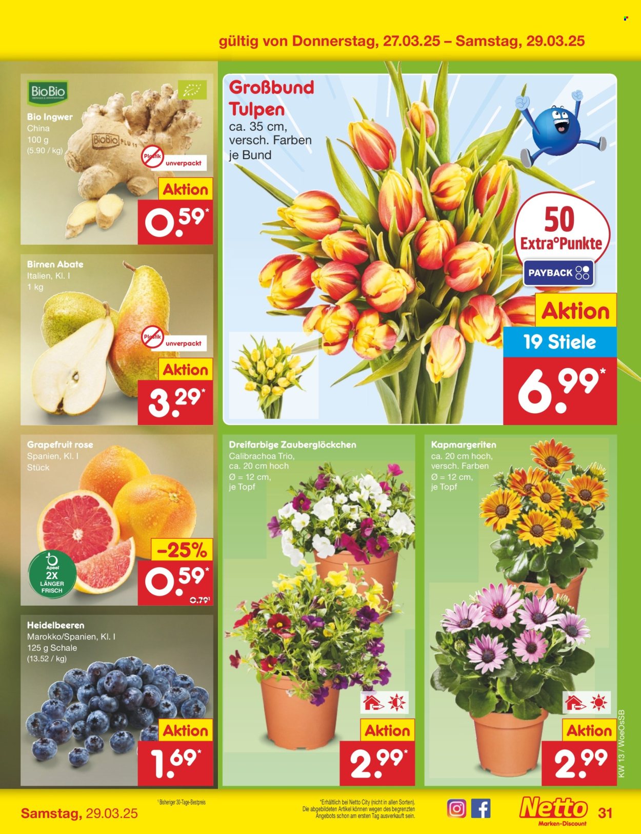 Netto Marken-Discount Prospekte  - 24.03.2025 - 29.03.2025. Seite 43