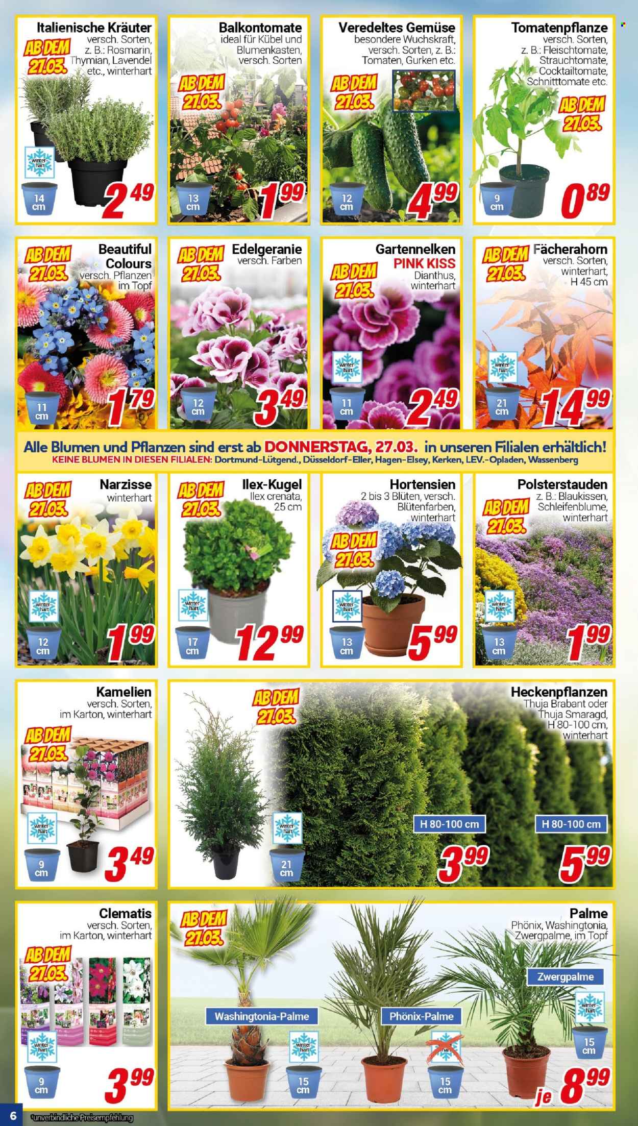 CENTERSHOP Prospekte  - 24.03.2025 - 29.03.2025. Seite 6