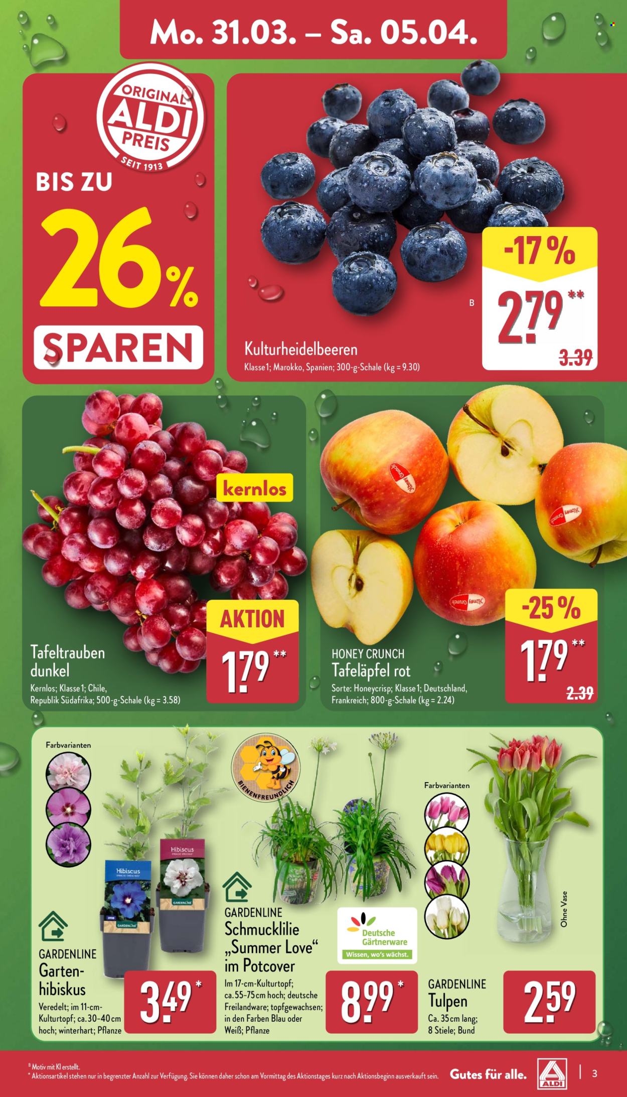 ALDI Nord Prospekte  - 31.03.2025 - 5.04.2025. Seite 3