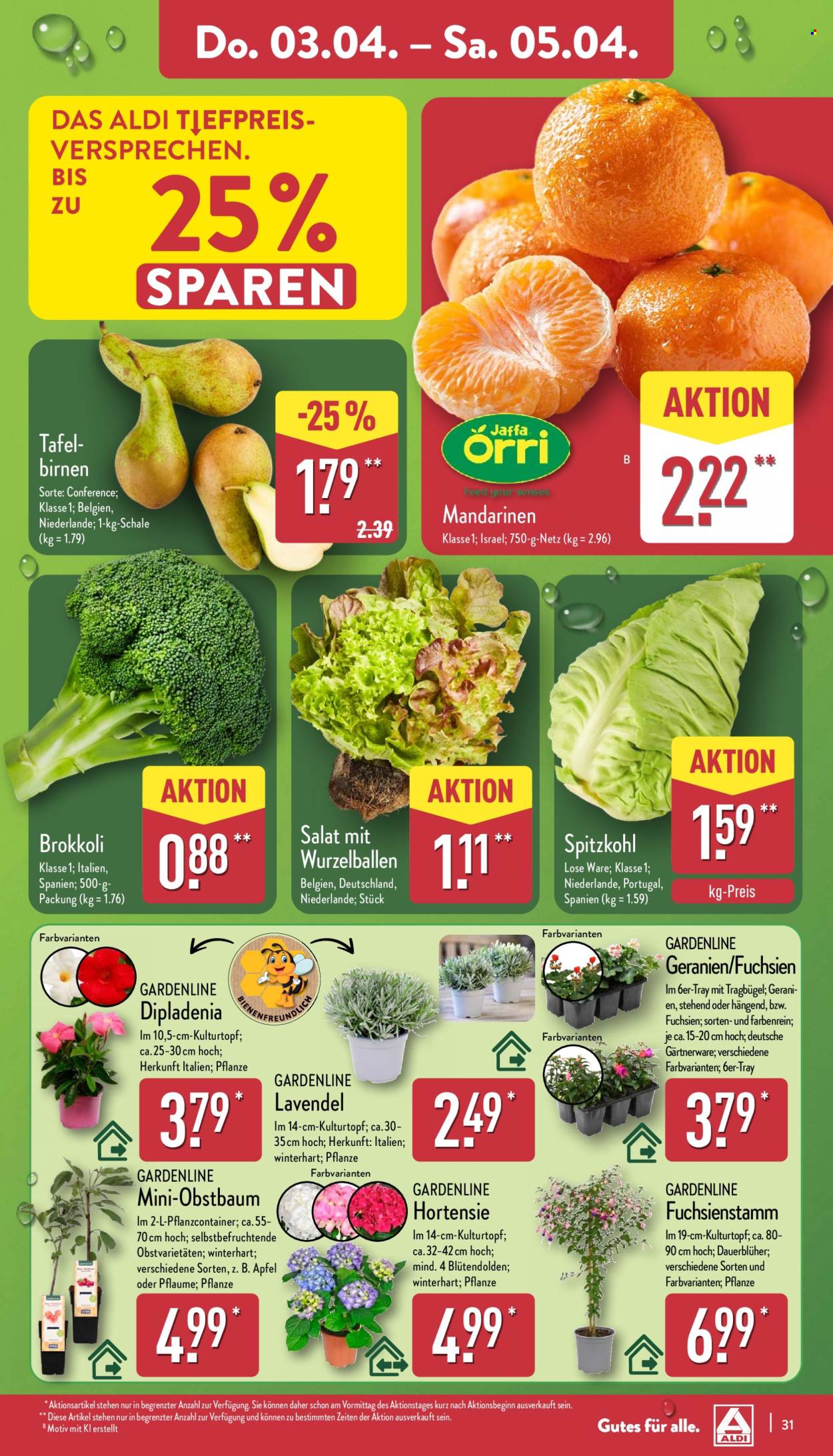 ALDI Nord Prospekte  - 31.03.2025 - 5.04.2025. Seite 35