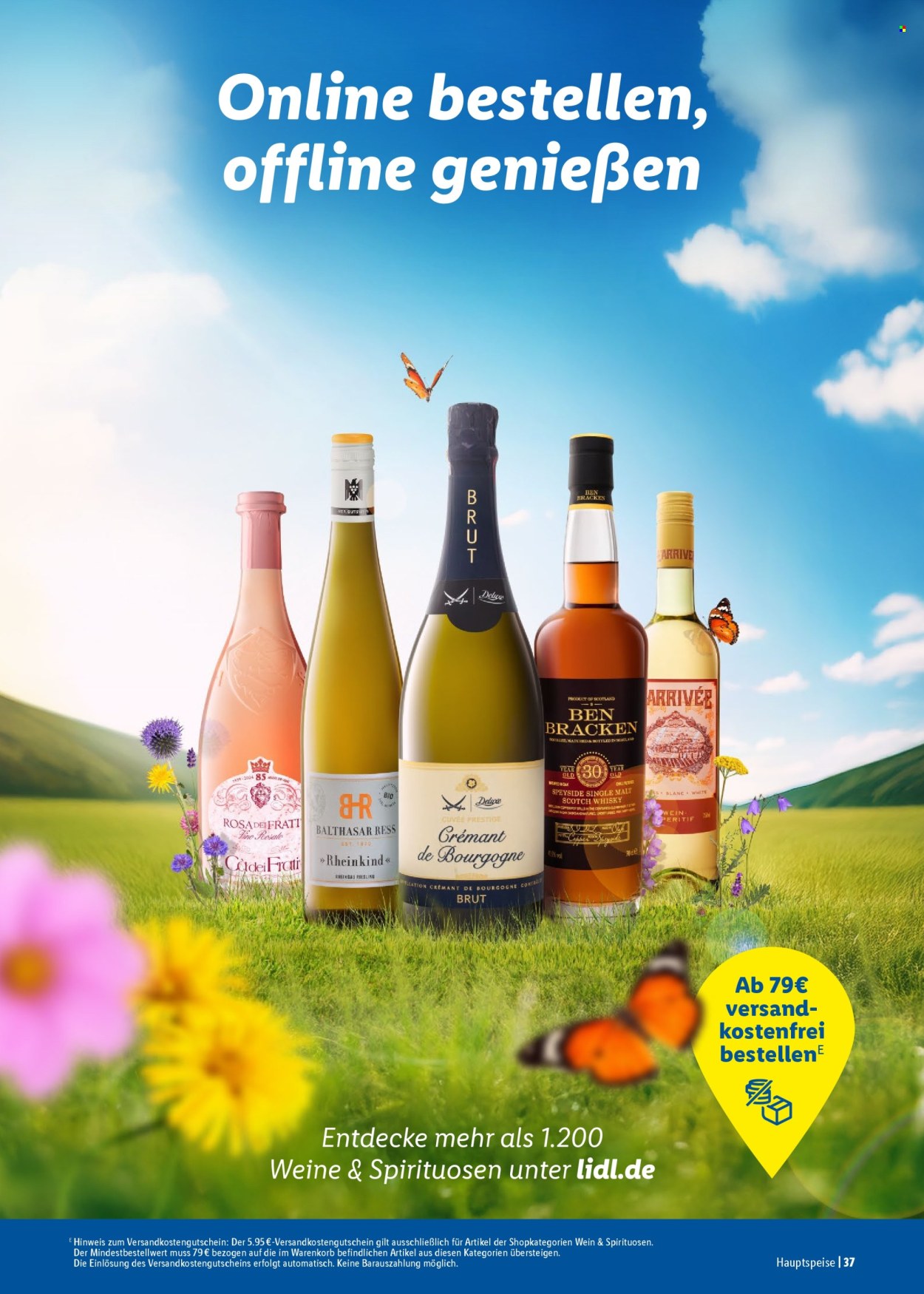 Lidl Prospekte . Seite 37