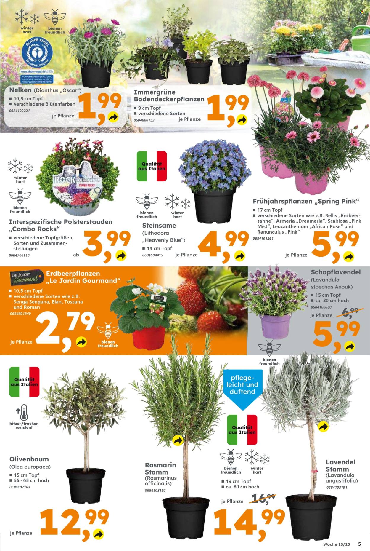 Globus Baumarkt Prospekte  - 24.03.2025 - 29.03.2025. Seite 5