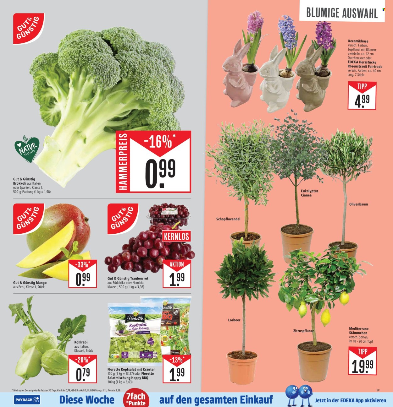 Marktkauf Prospekte  - 31.03.2025 - 5.04.2025. Seite 5