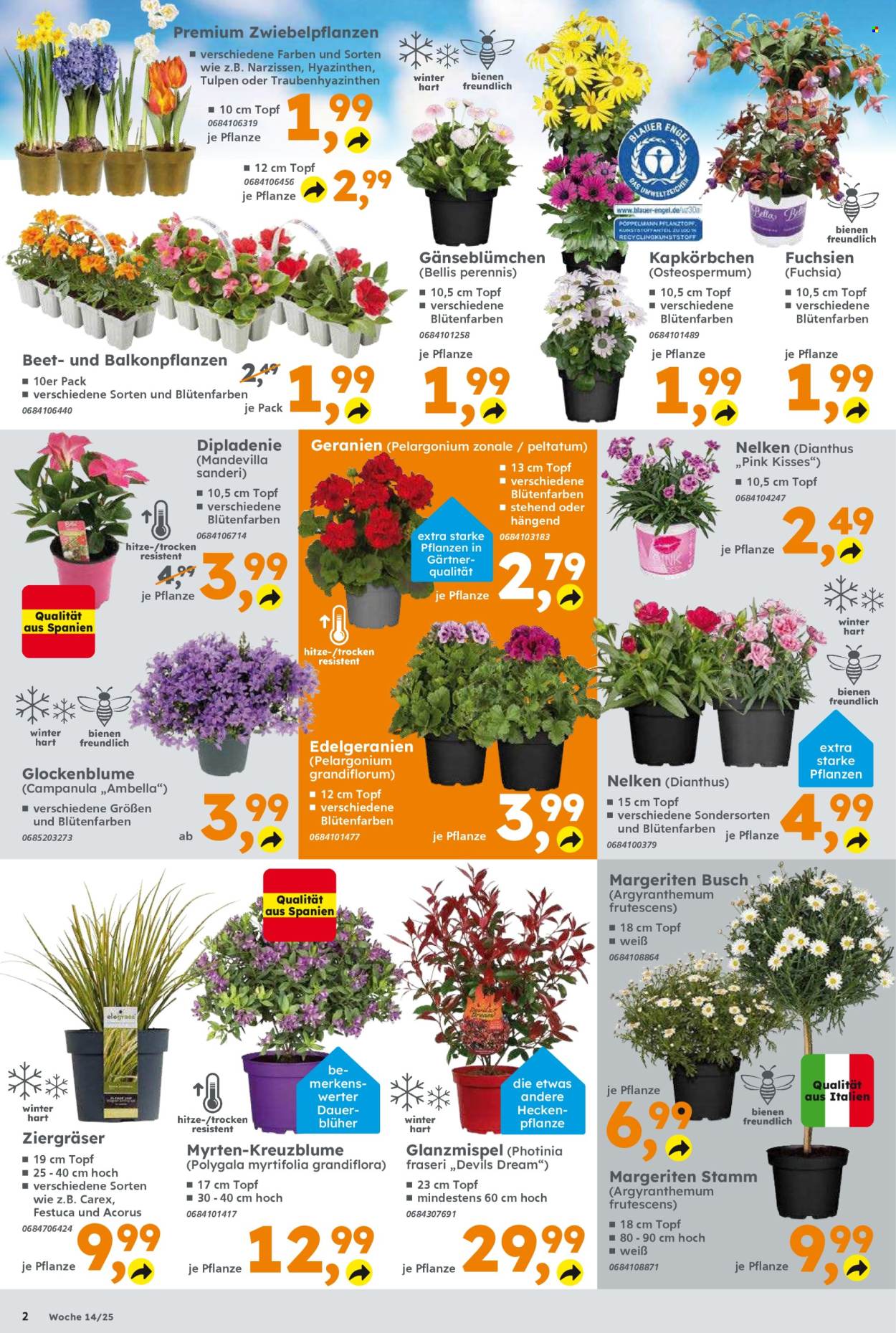 Globus Baumarkt Prospekte  - 31.03.2025 - 5.04.2025. Seite 2