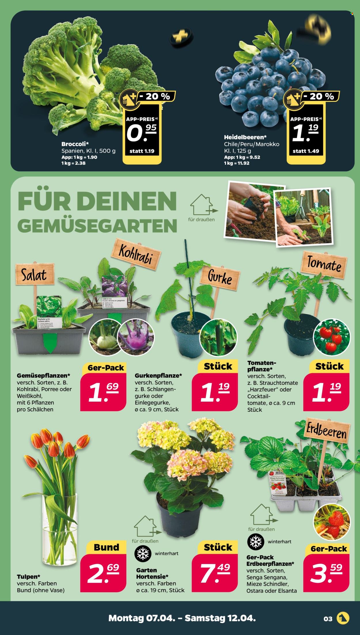 Netto Prospekte  - 7.04.2025 - 12.04.2025. Seite 3
