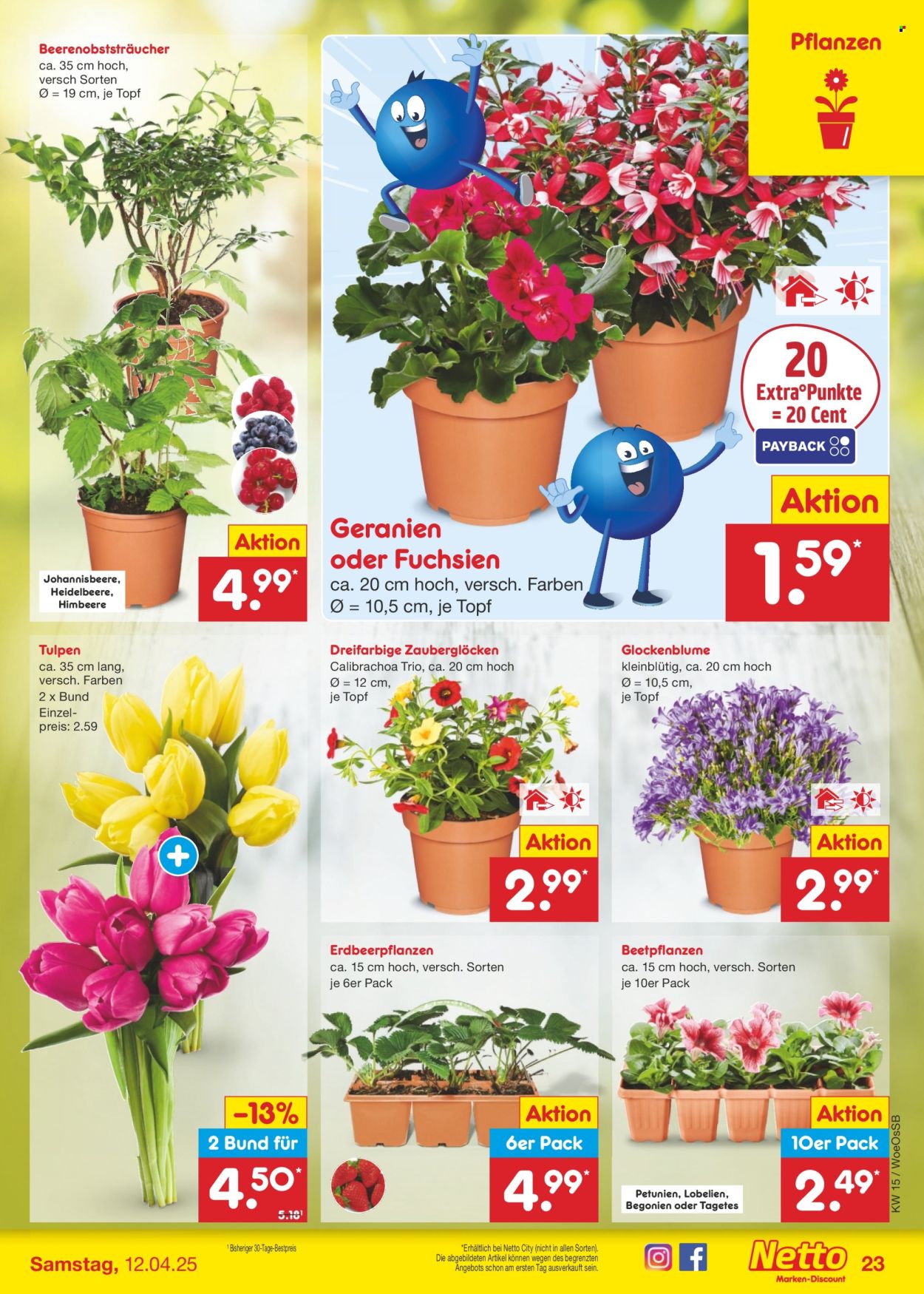 Netto Marken-Discount Prospekte  - 7.04.2025 - 12.04.2025. Seite 37