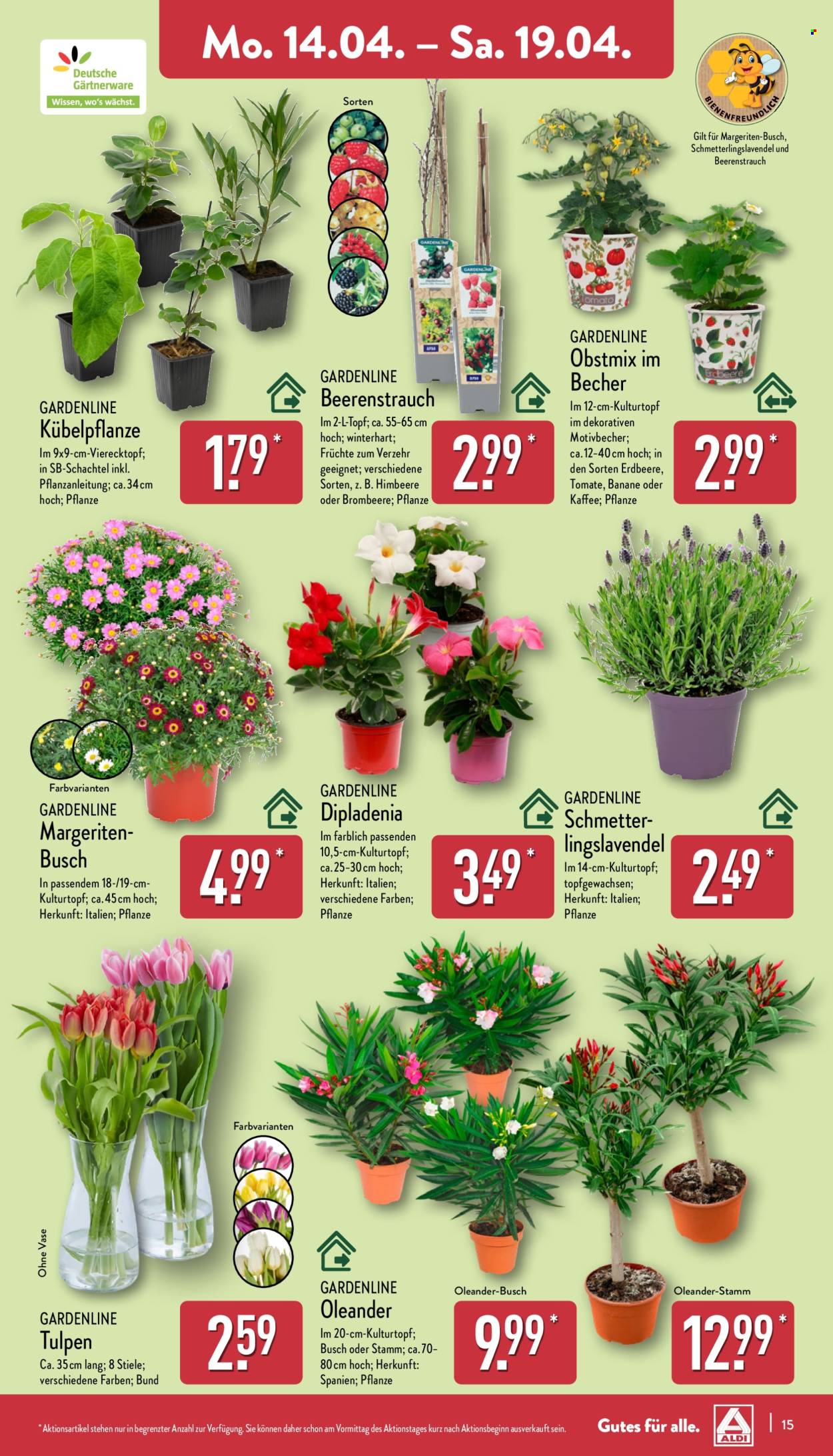ALDI Nord Prospekte  - 14.04.2025 - 19.04.2025. Seite 15