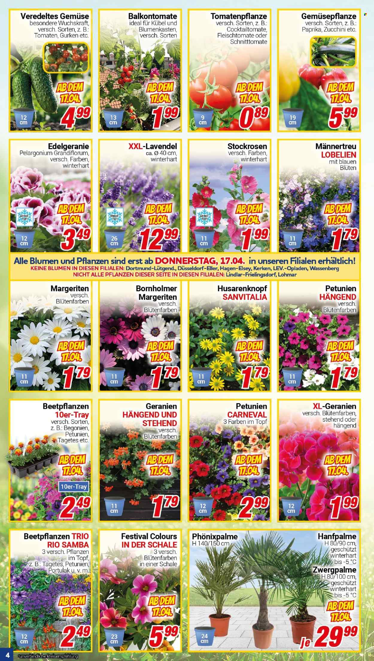 CENTERSHOP Prospekte  - 14.04.2025 - 19.04.2025. Seite 4