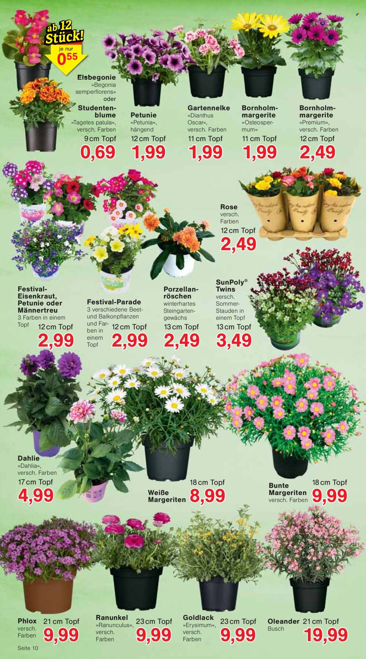Jawoll Prospekte  - 14.04.2025 - 19.04.2025. Seite 14