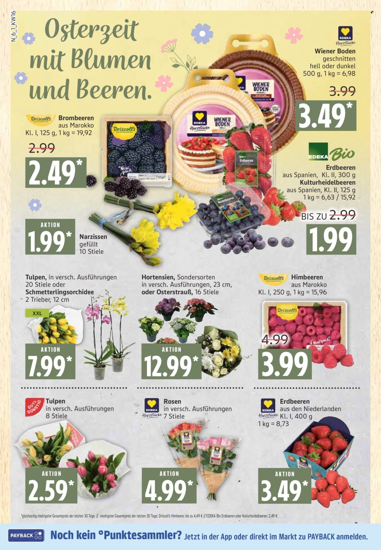 Marktkauf Prospekte  - 14.04.2025 - 19.04.2025. Seite 6