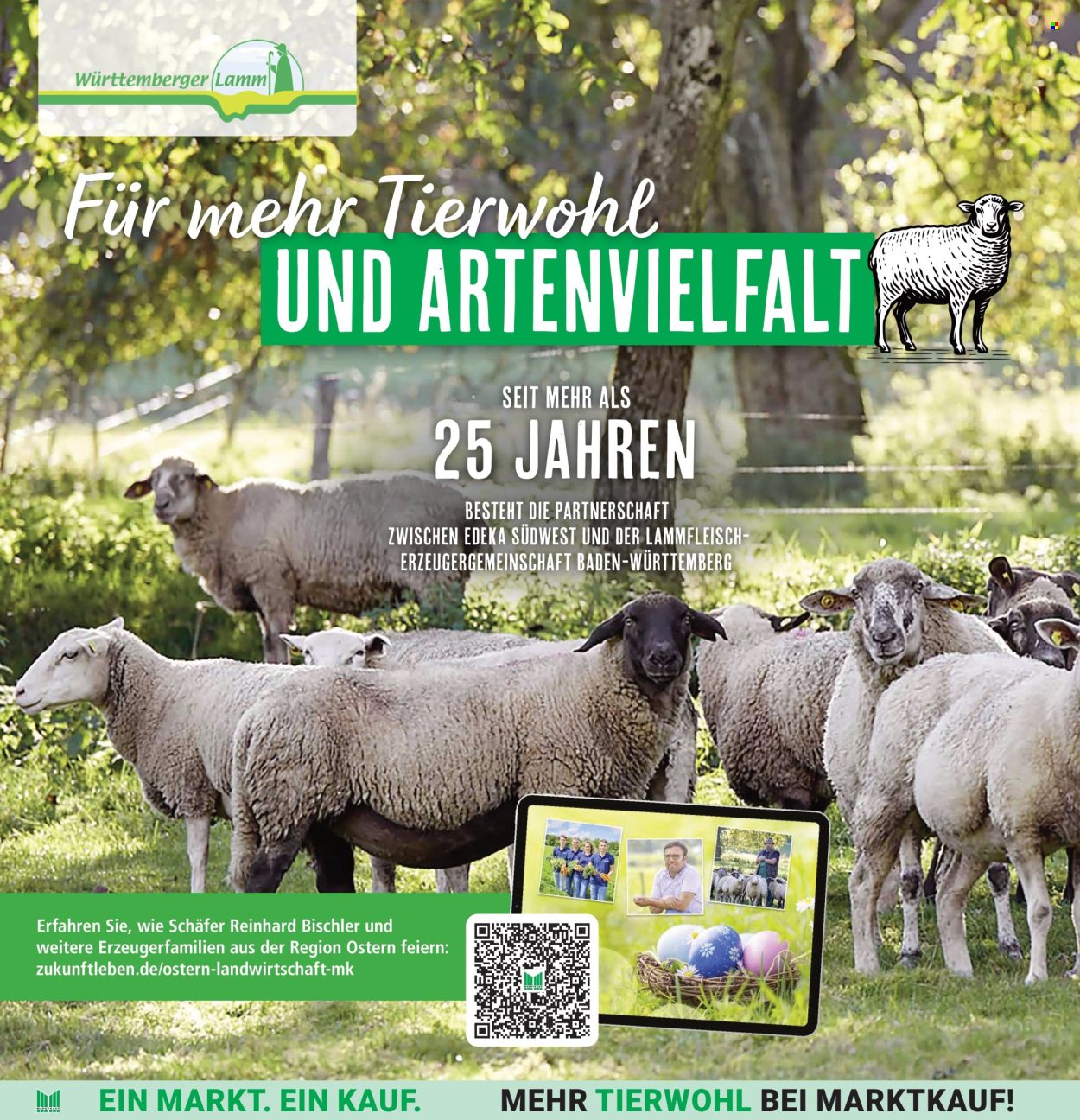 Marktkauf Prospekte  - 14.04.2025 - 19.04.2025. Seite 8