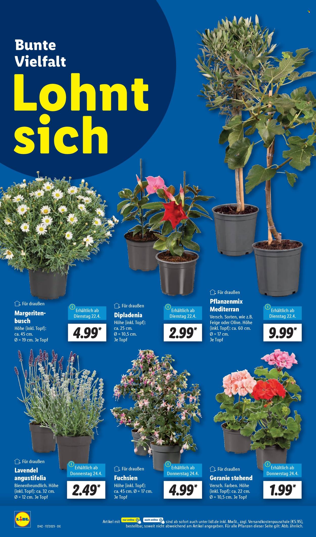 Lidl Prospekte  - 22.04.2025 - 26.04.2025. Seite 6