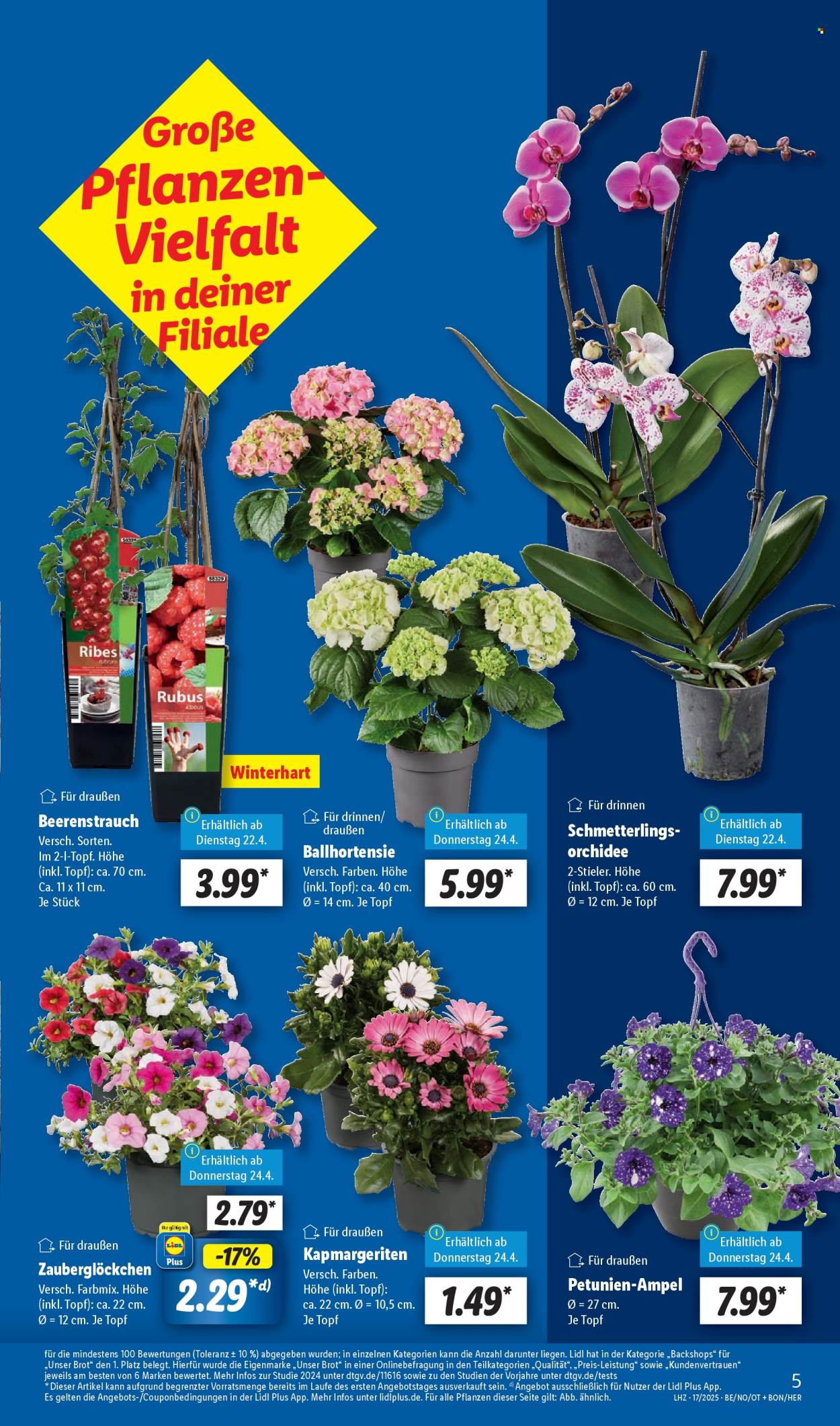 Lidl Prospekte  - 22.04.2025 - 26.04.2025. Seite 7
