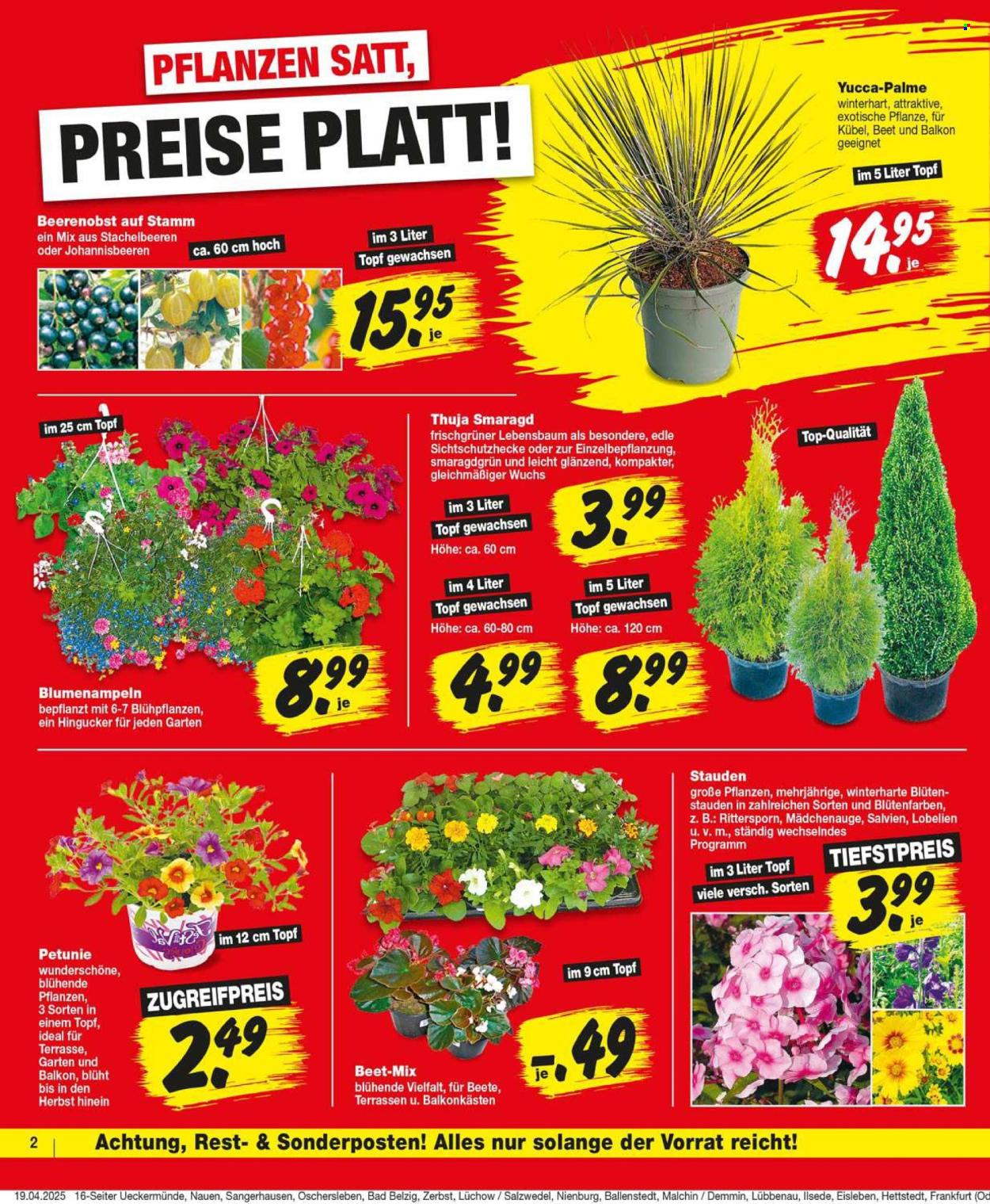 Repo Prospekte  - 22.04.2025 - 26.04.2025. Seite 2