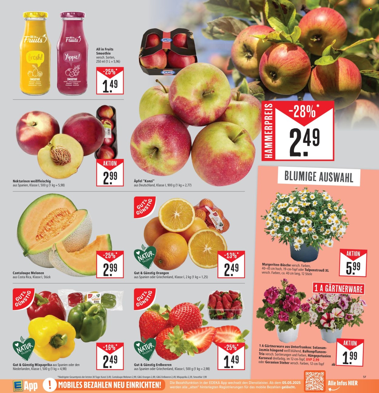 Marktkauf Prospekte  - 22.04.2025 - 26.04.2025. Seite 5