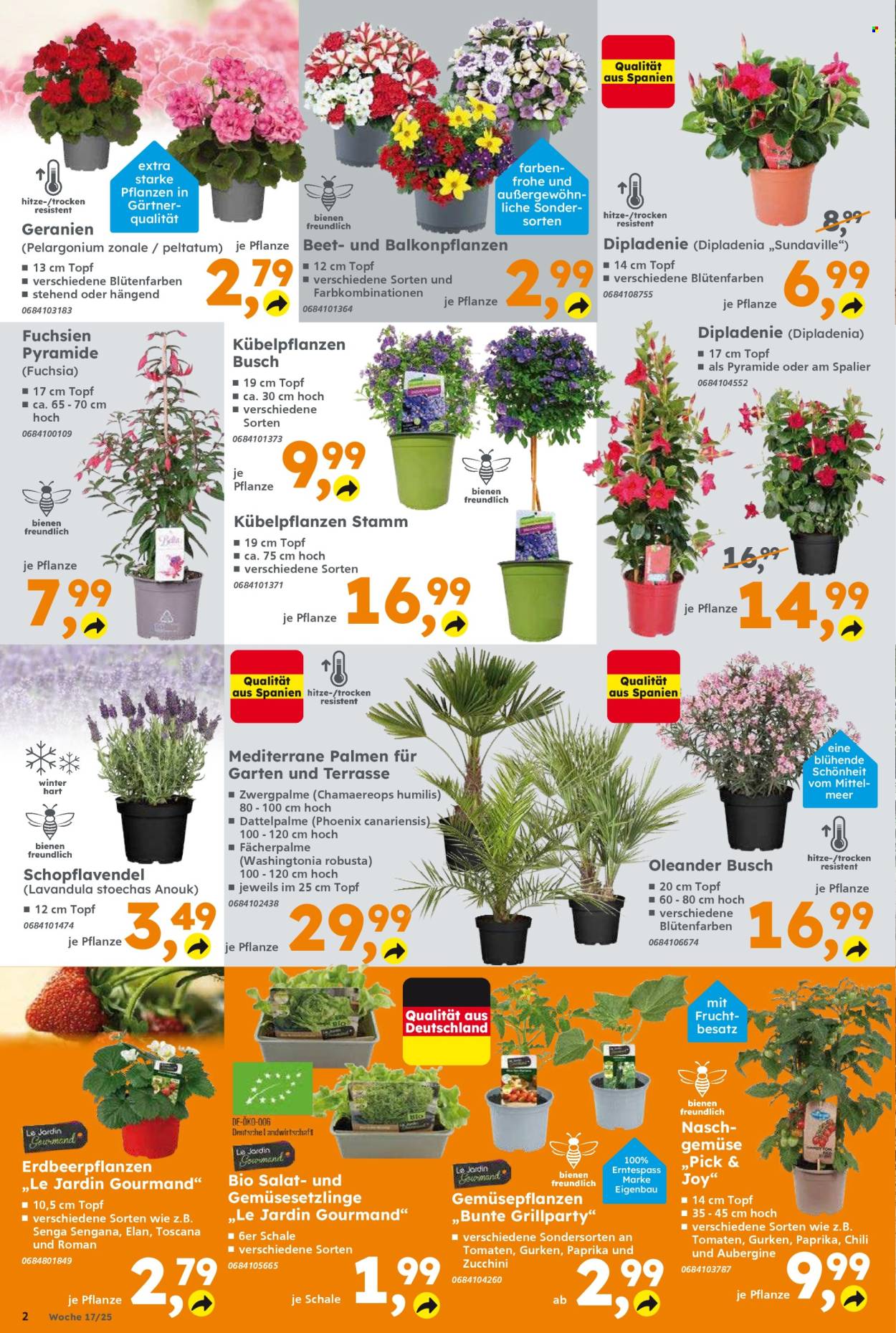 Globus Baumarkt Prospekte  - 22.04.2025 - 26.04.2025. Seite 2