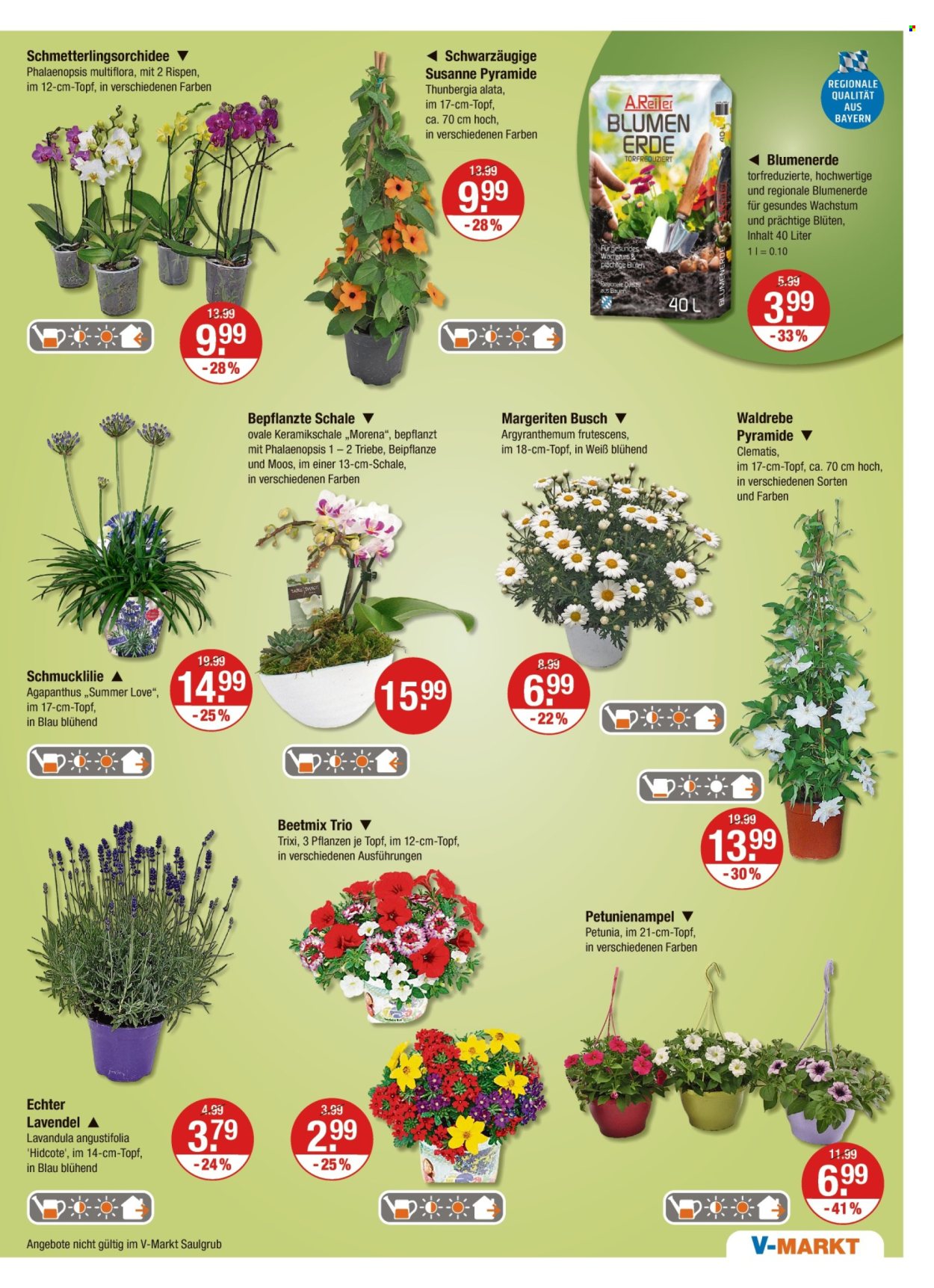 V-Markt Prospekte  - 2.05.2025 - 7.05.2025. Seite 17