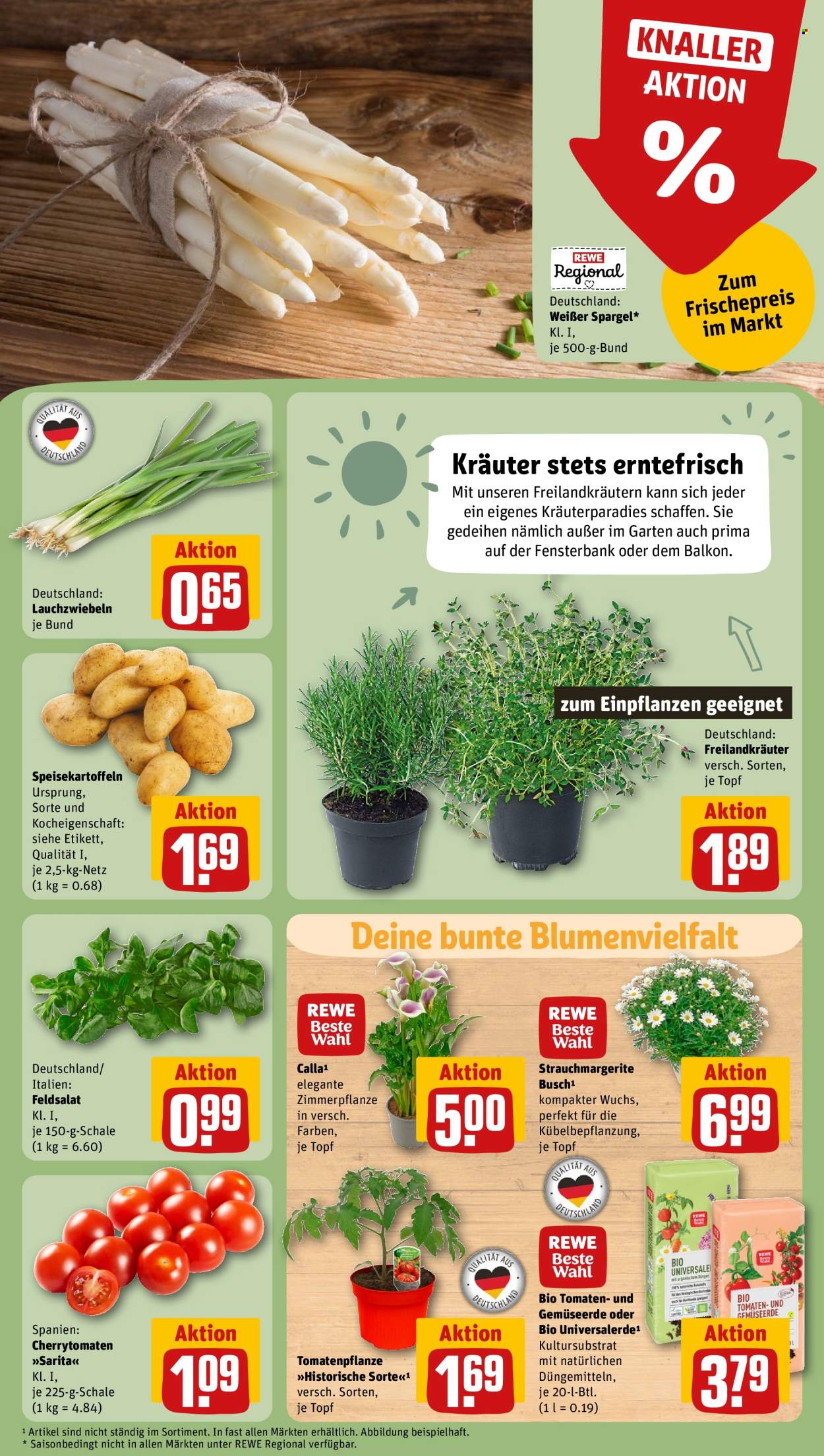 REWE Prospekte  - 28.04.2025 - 4.05.2025. Seite 7
