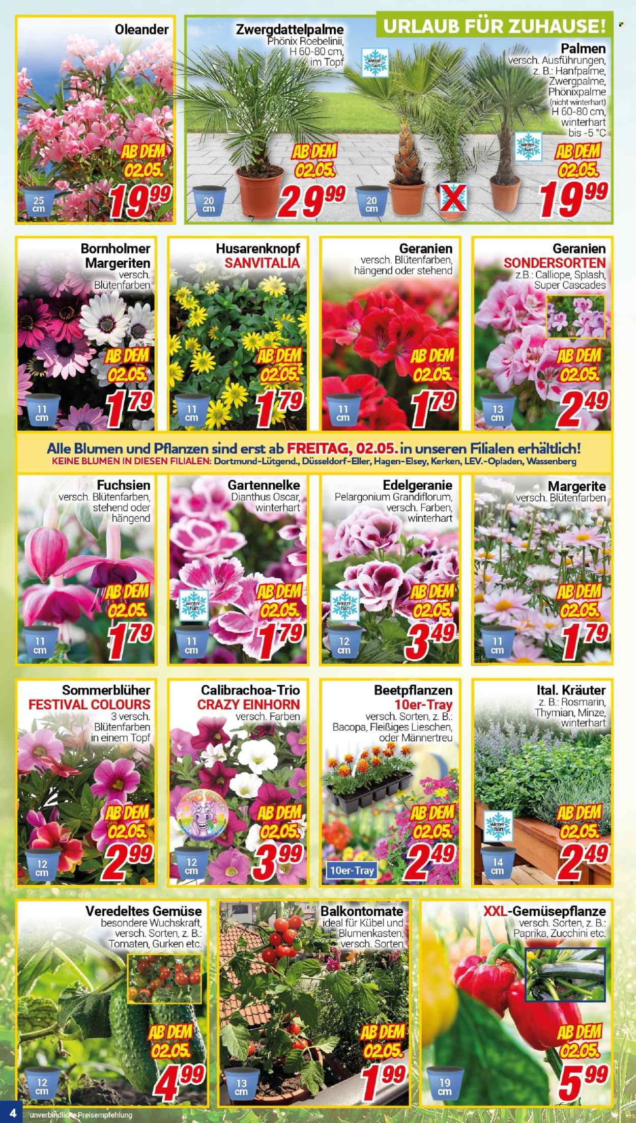CENTERSHOP Prospekte  - 28.04.2025 - 3.05.2025. Seite 4