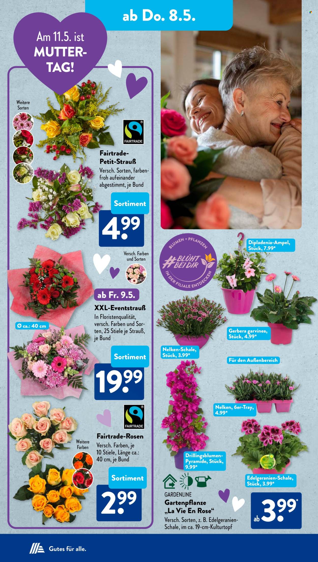 ALDI SÜD Prospekte  - 5.05.2025 - 10.05.2025. Seite 21
