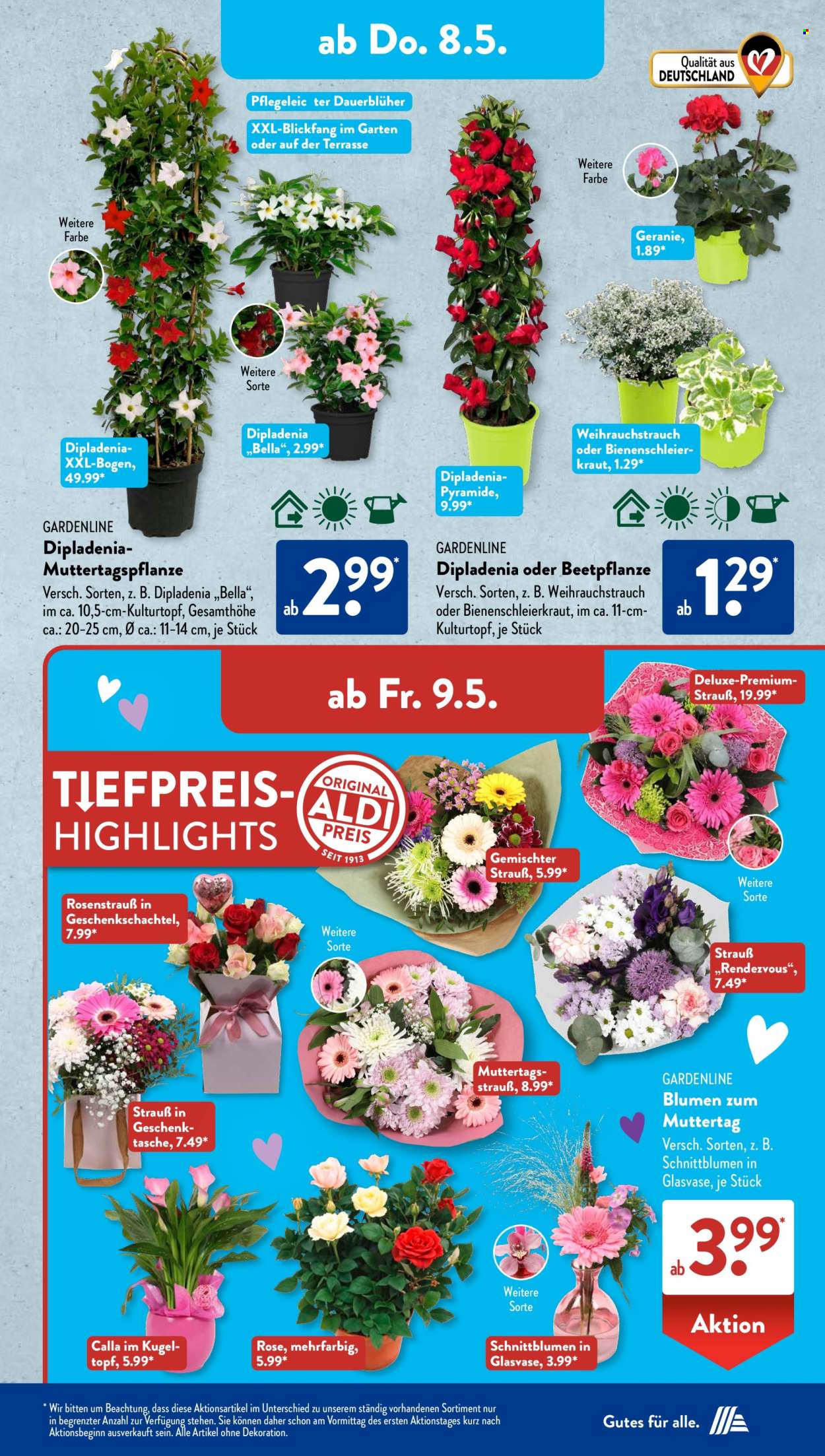 ALDI SÜD Prospekte  - 5.05.2025 - 10.05.2025. Seite 22
