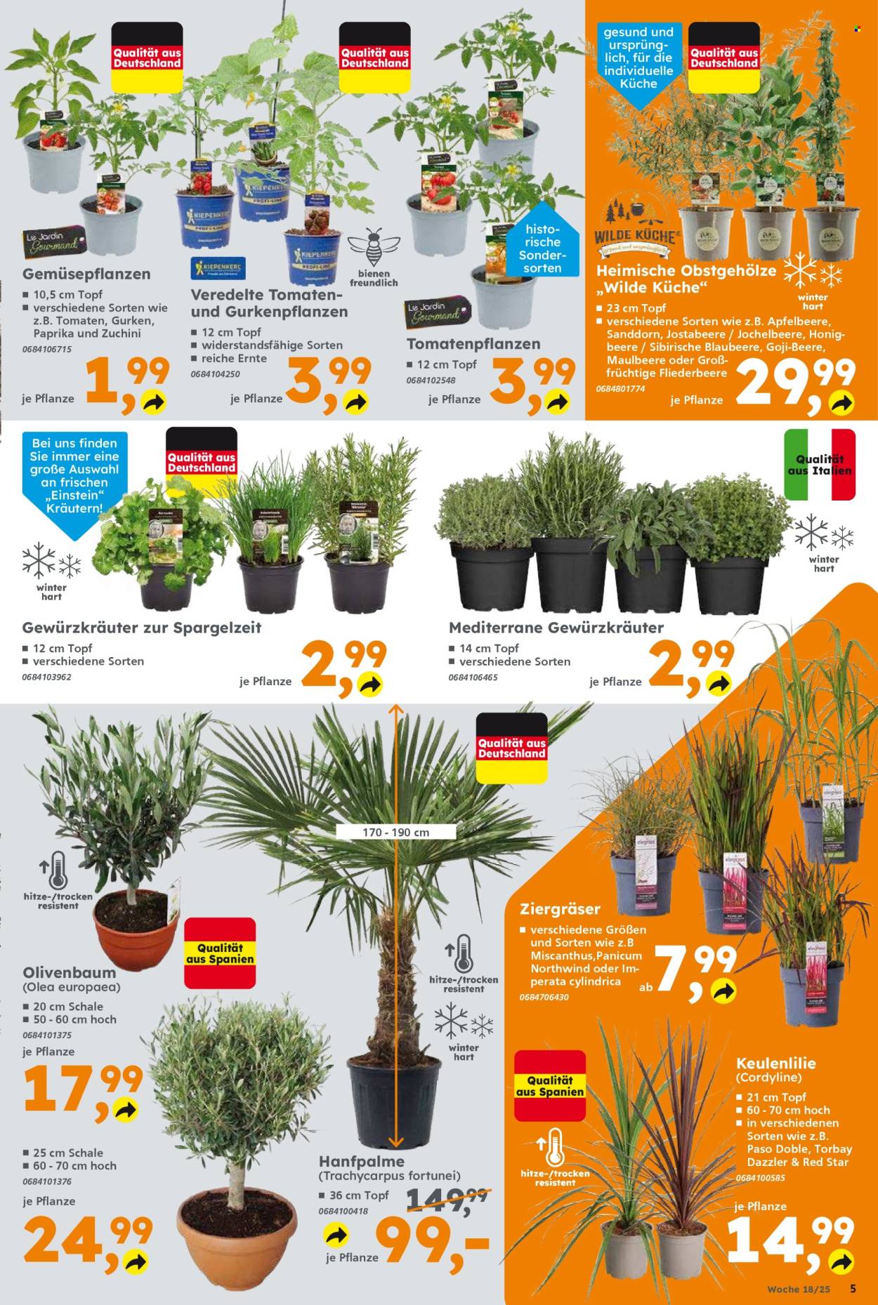 Globus Baumarkt Prospekte  - 28.04.2025 - 3.05.2025. Seite 5