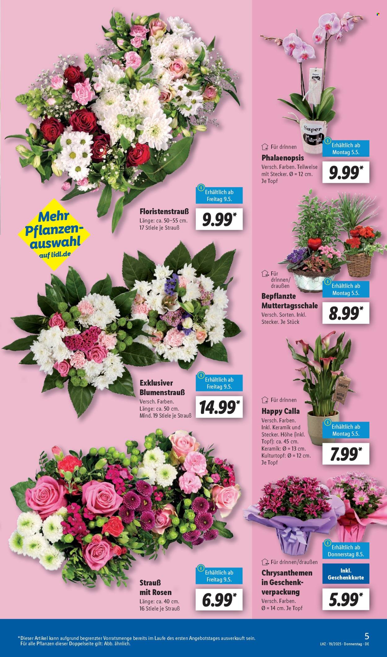 Lidl Prospekte  - 5.05.2025 - 10.05.2025. Seite 5