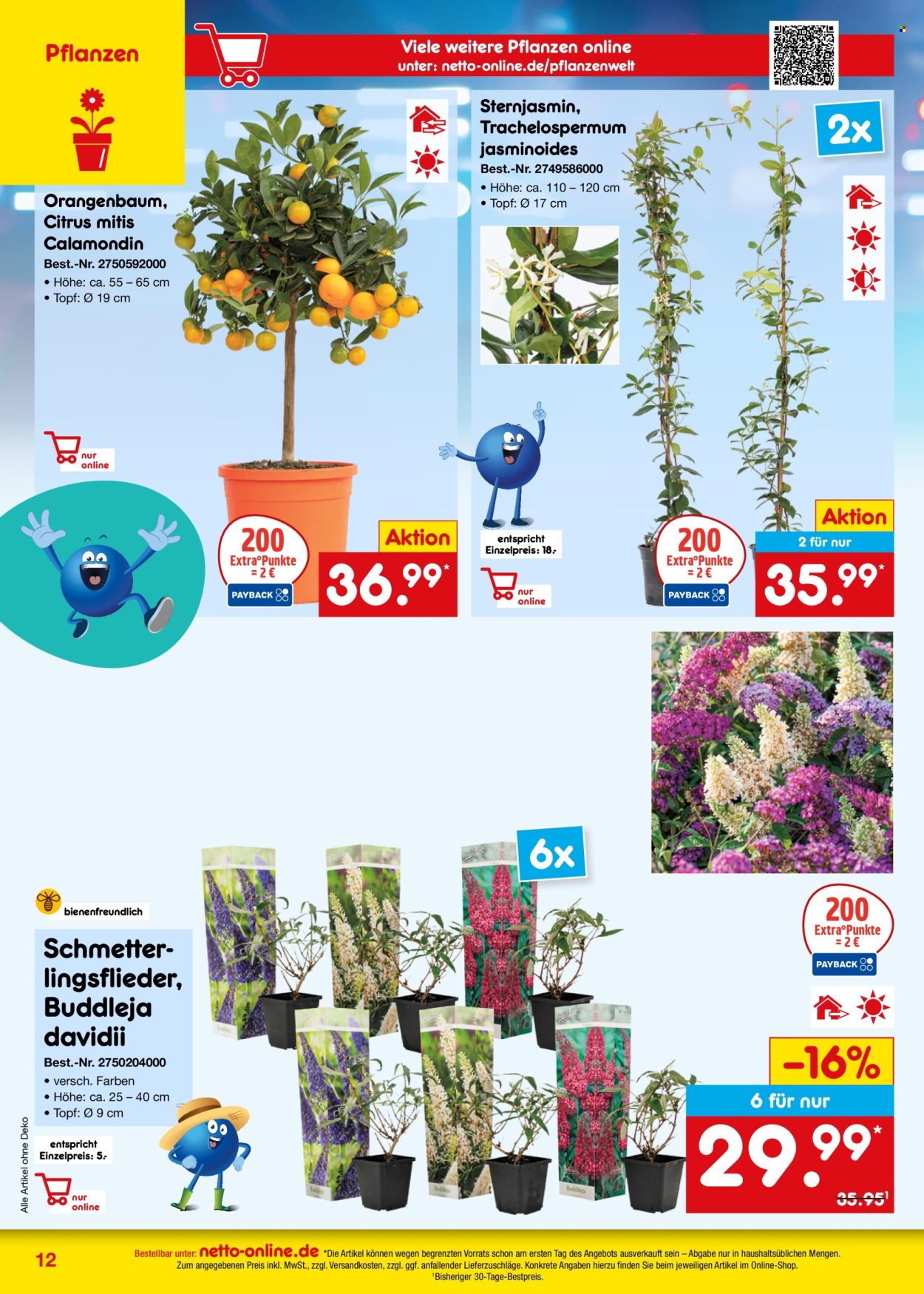 Netto Marken-Discount Prospekte  - 1.05.2025 - 31.05.2025. Seite 12