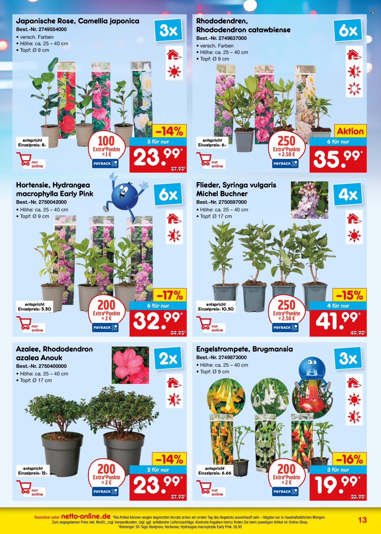 Netto Marken-Discount Prospekte  - 1.05.2025 - 31.05.2025. Seite 13