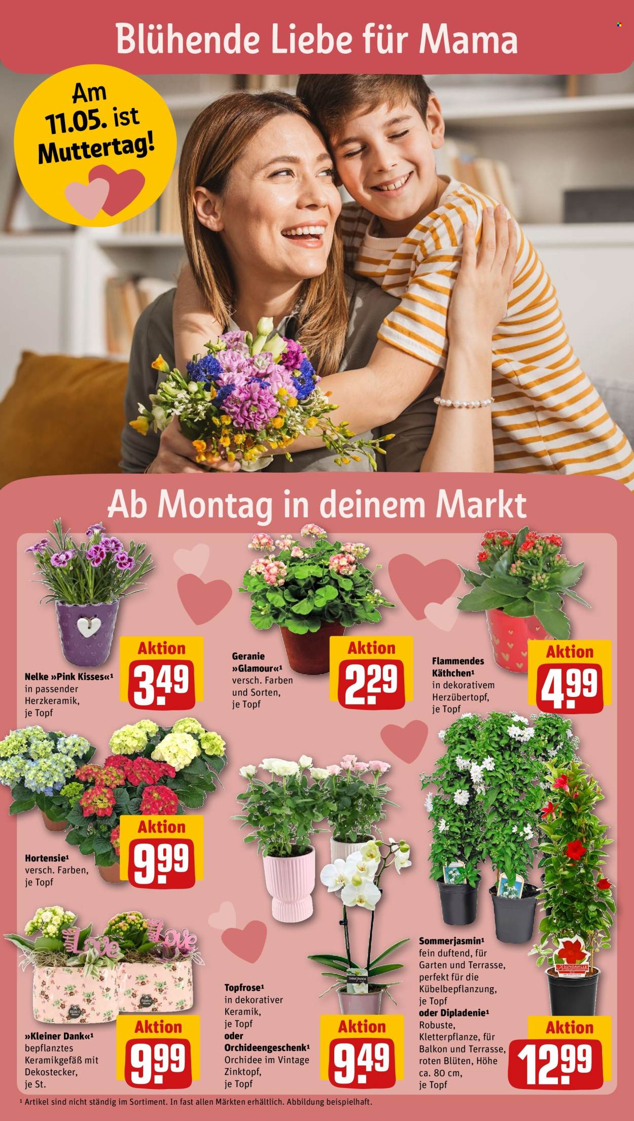 REWE Prospekte  - 5.05.2025 - 11.05.2025. Seite 6