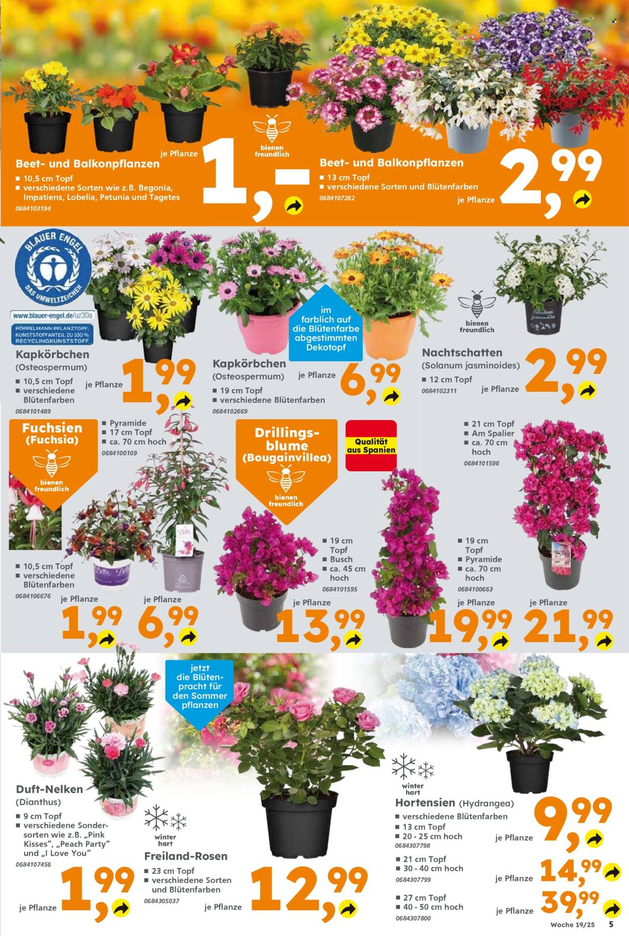 Globus Baumarkt Prospekte  - 5.05.2025 - 10.05.2025. Seite 5