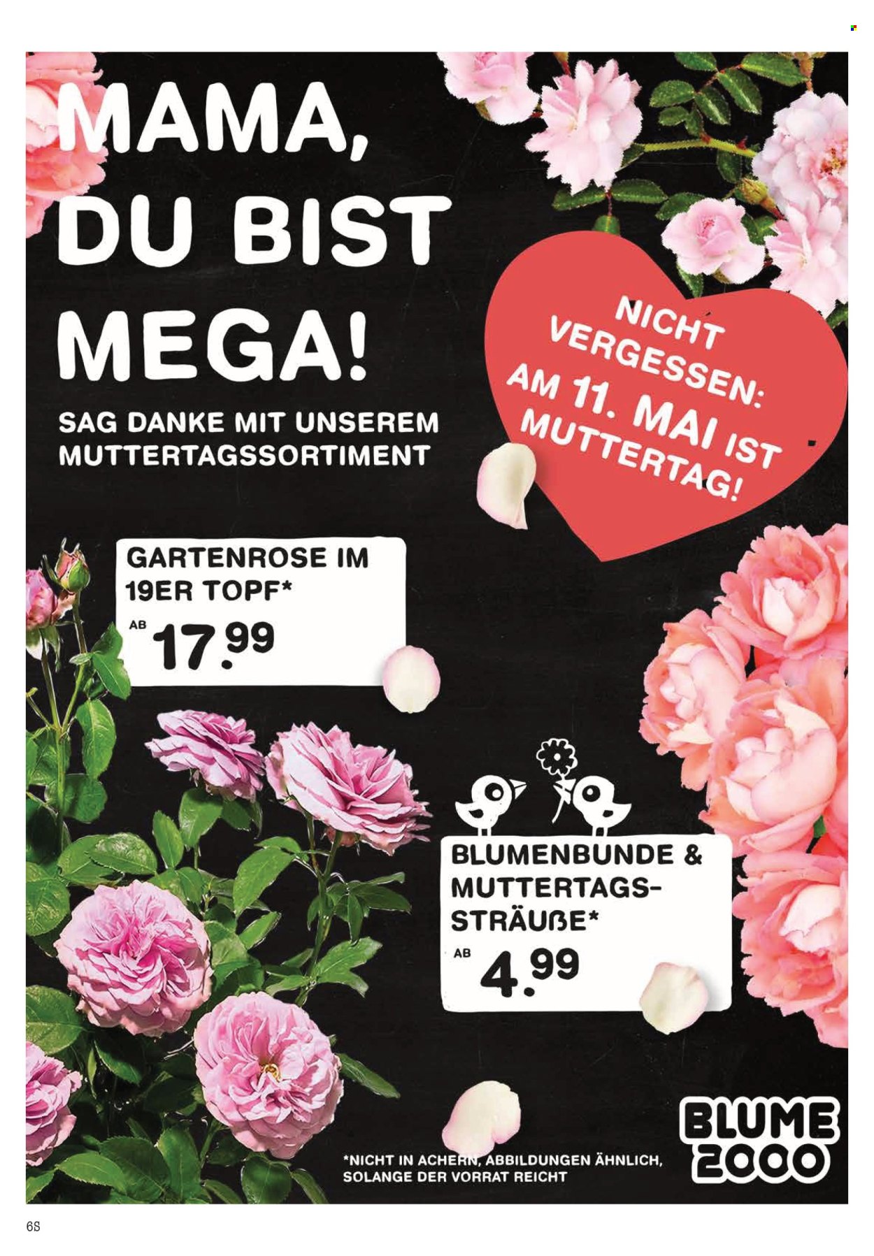 Scheck-in Prospekte  - 5.05.2025 - 10.05.2025. Seite 6