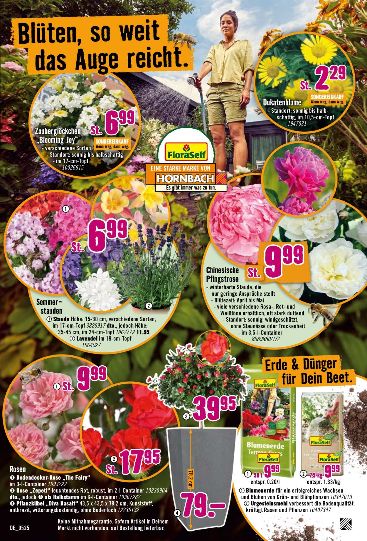 Hornbach Prospekte  - 7.05.2025 - 4.06.2025. Seite 12