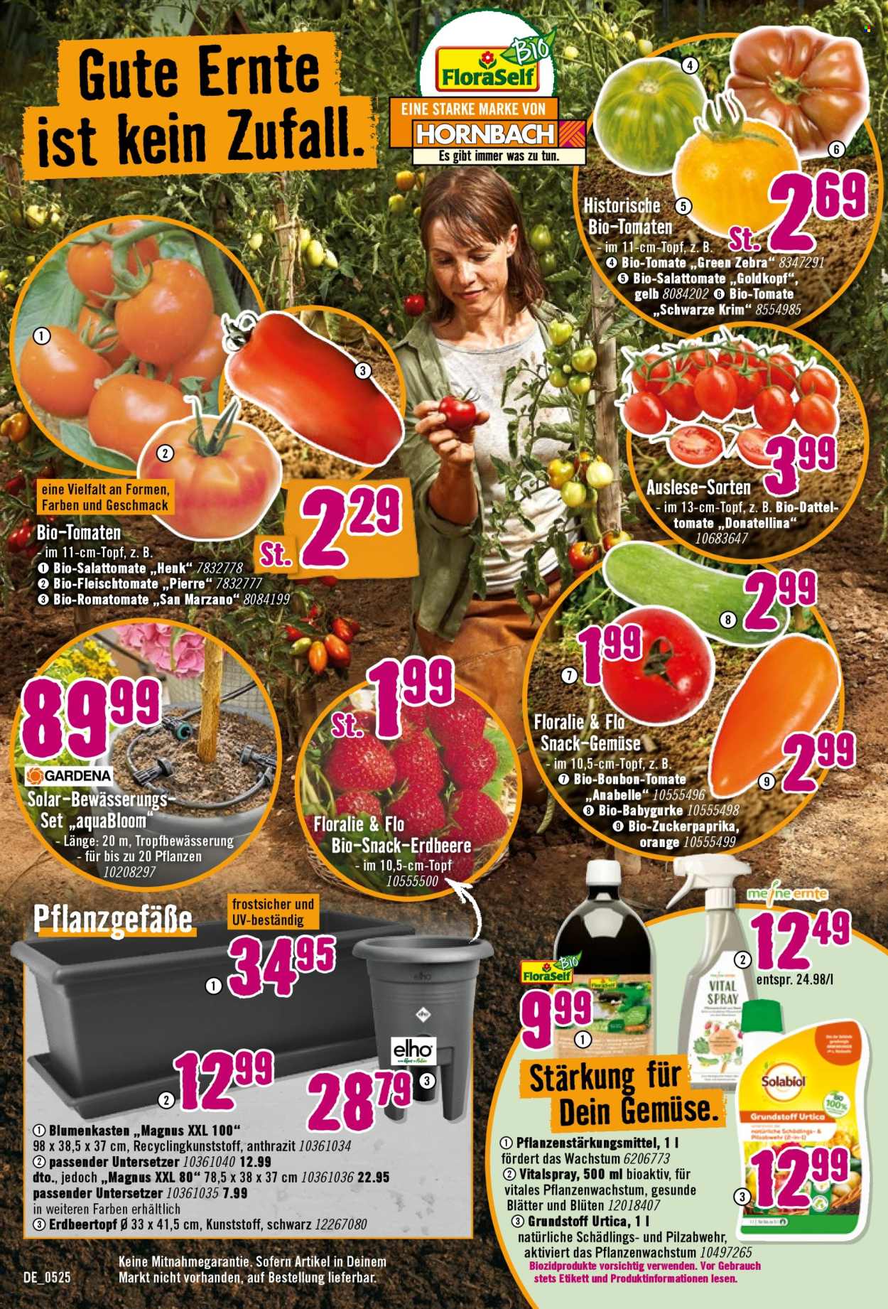 Hornbach Prospekte  - 7.05.2025 - 4.06.2025. Seite 13